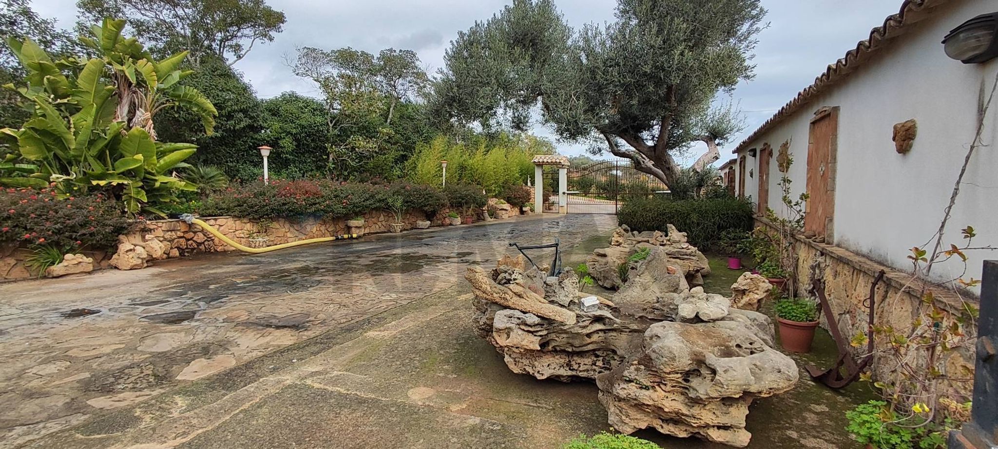Giardino