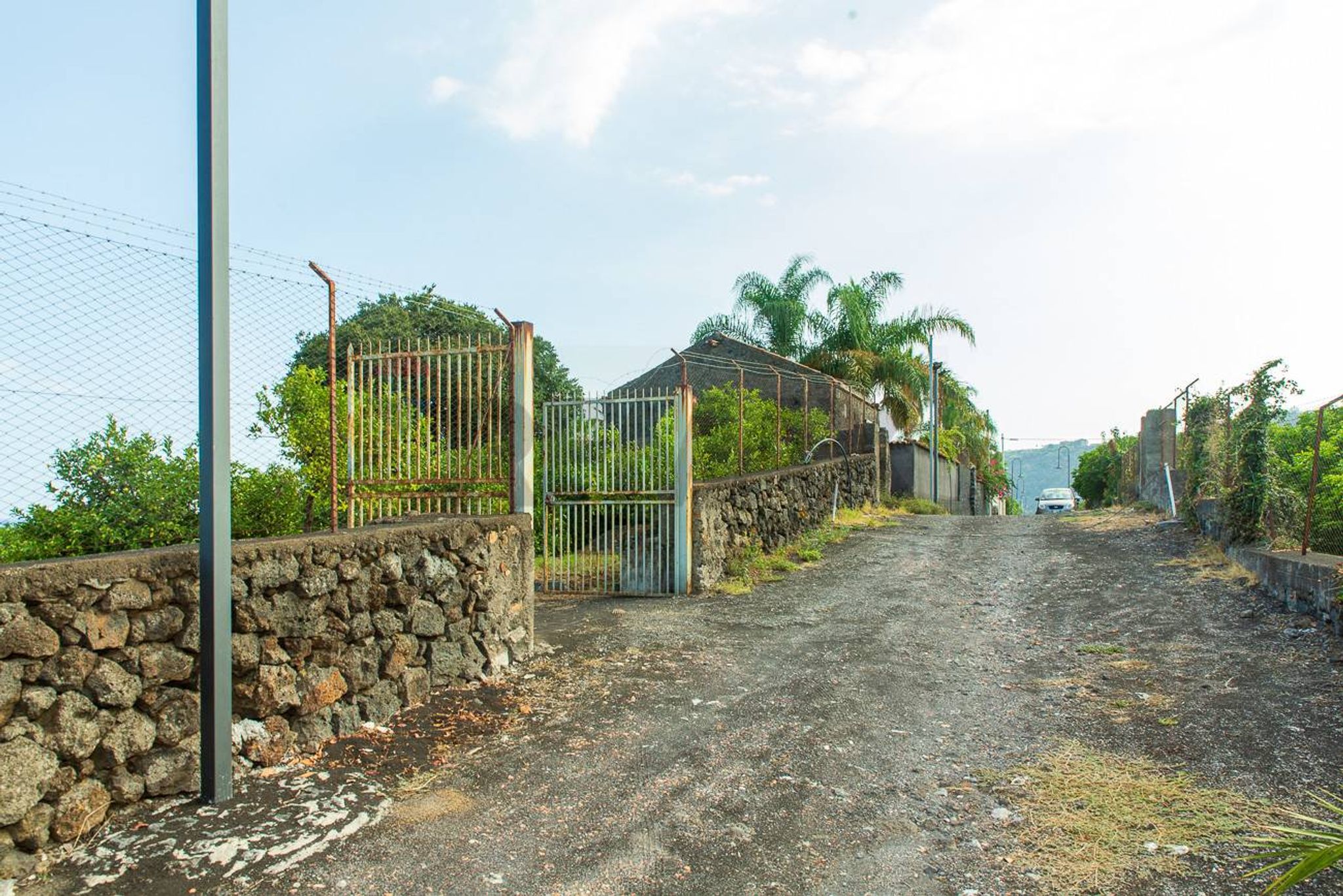 Giardino
