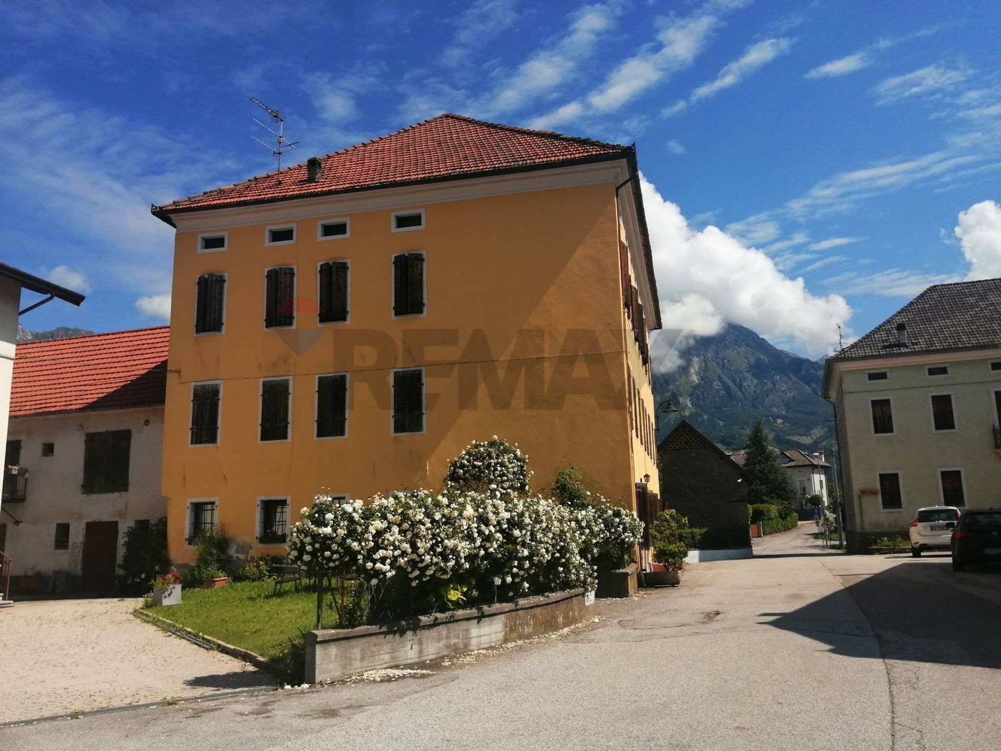 Immobile a Alpago