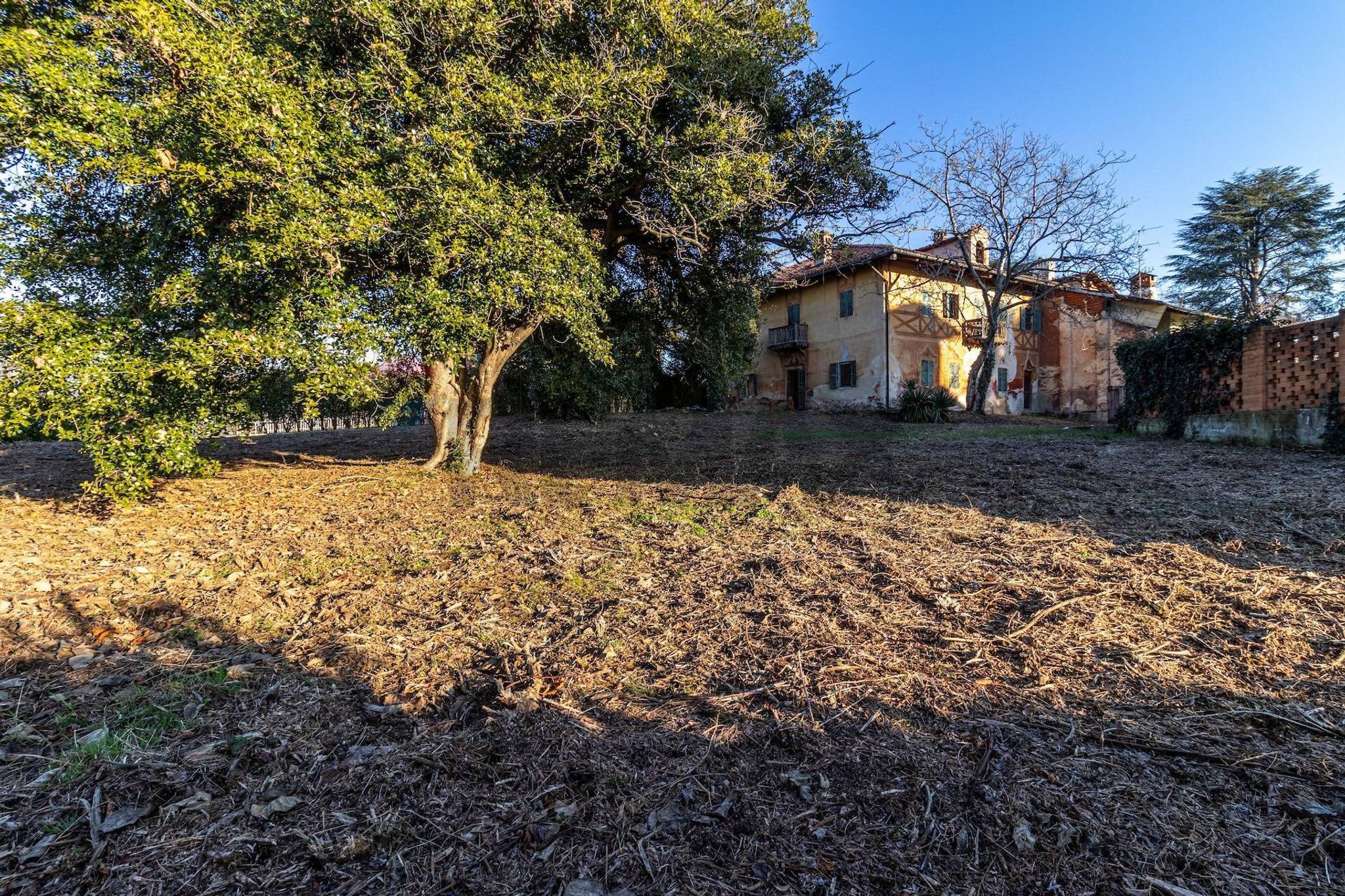Giardino