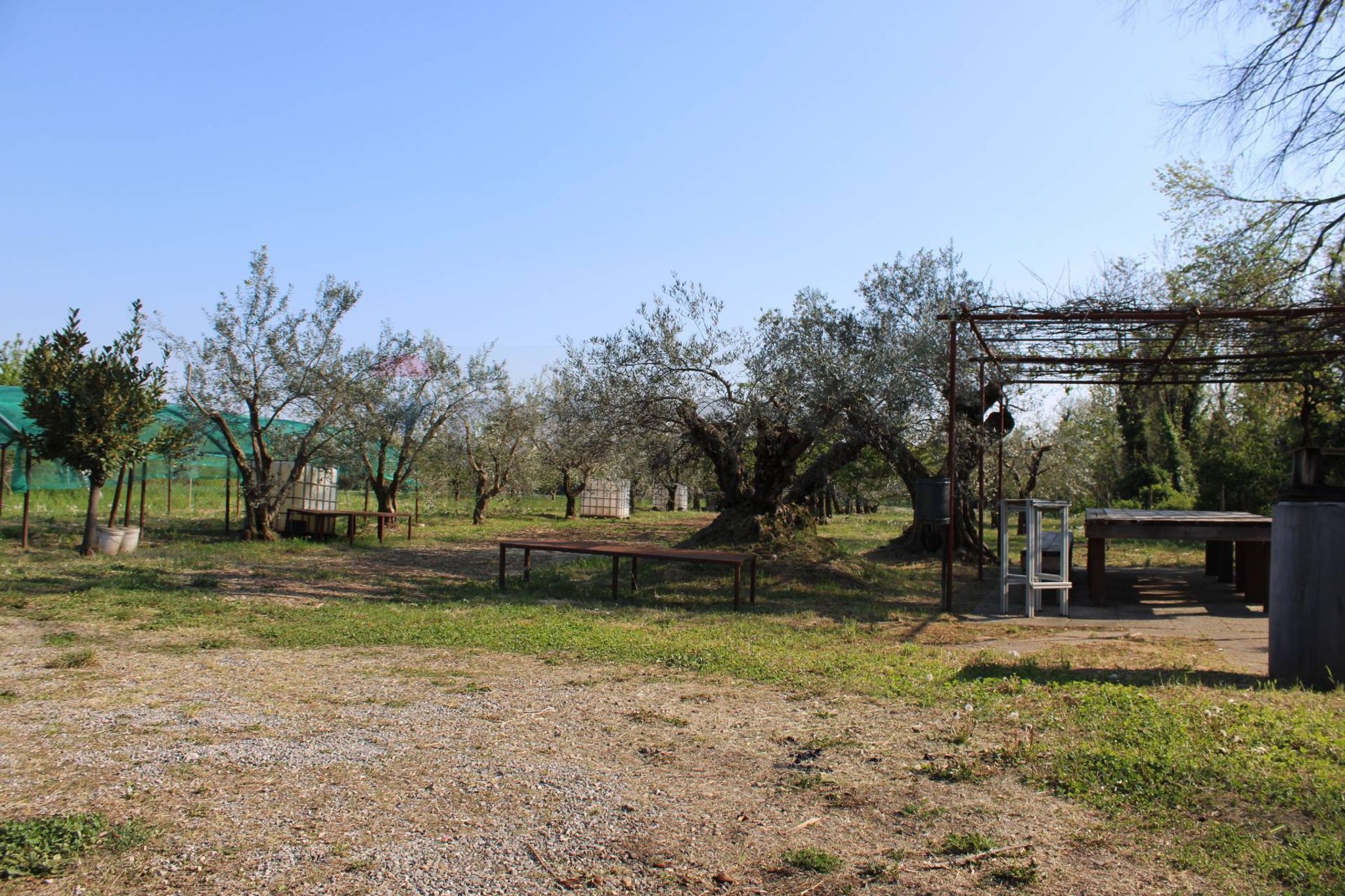 Giardino