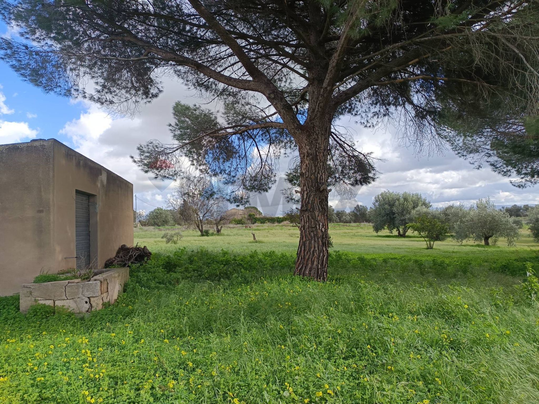 Immobile a Caltagirone