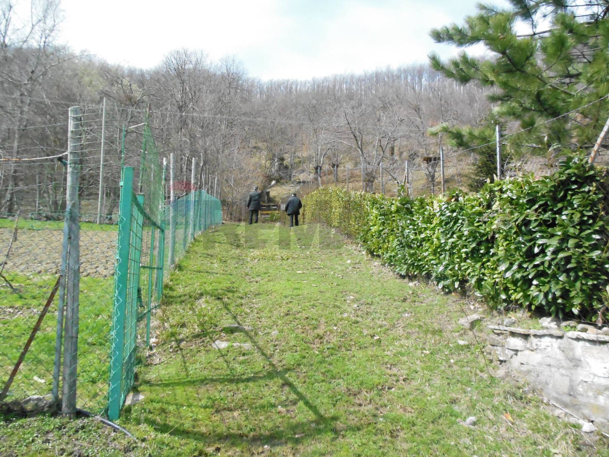 Giardino