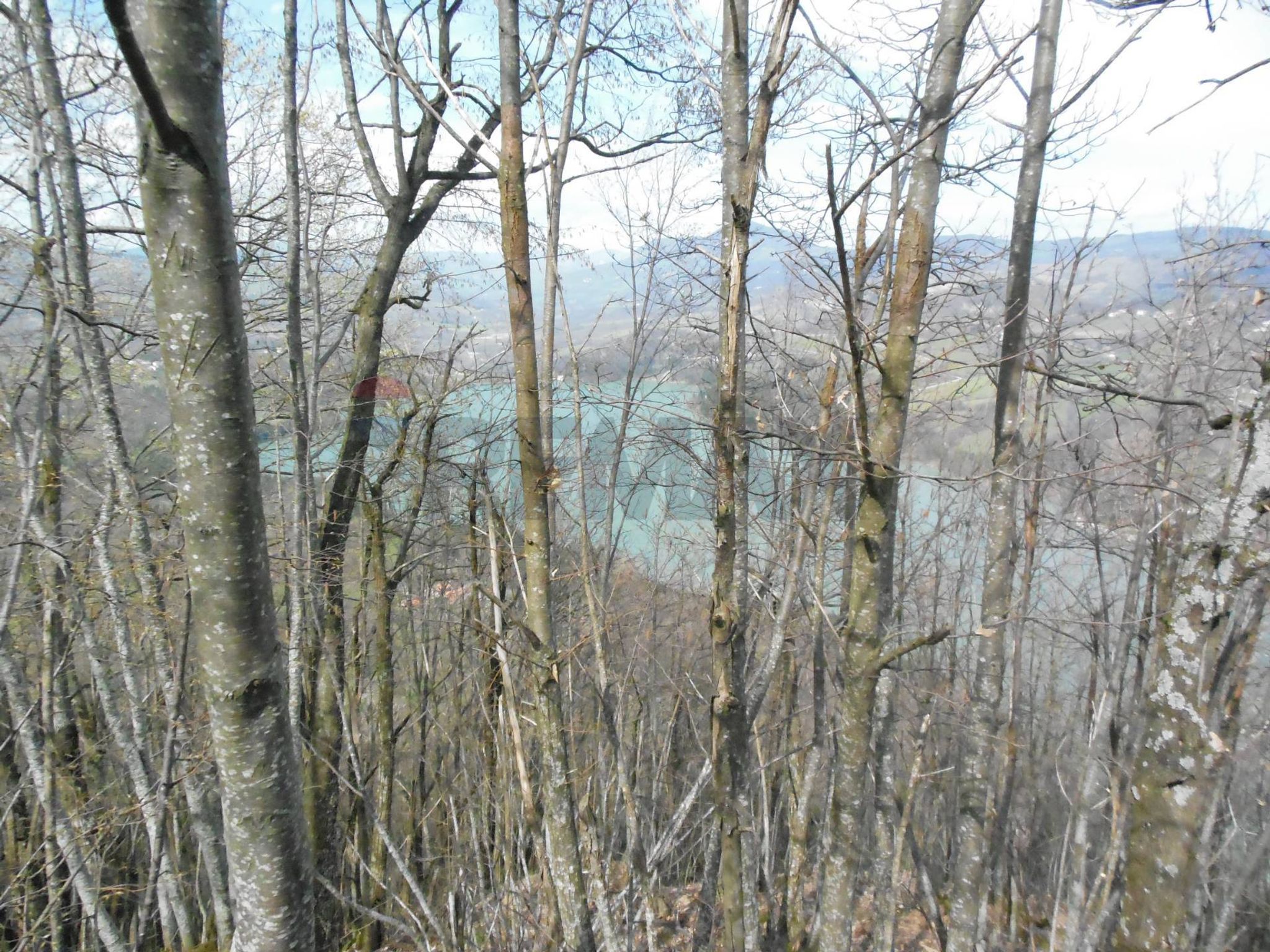 Vista delle montagne