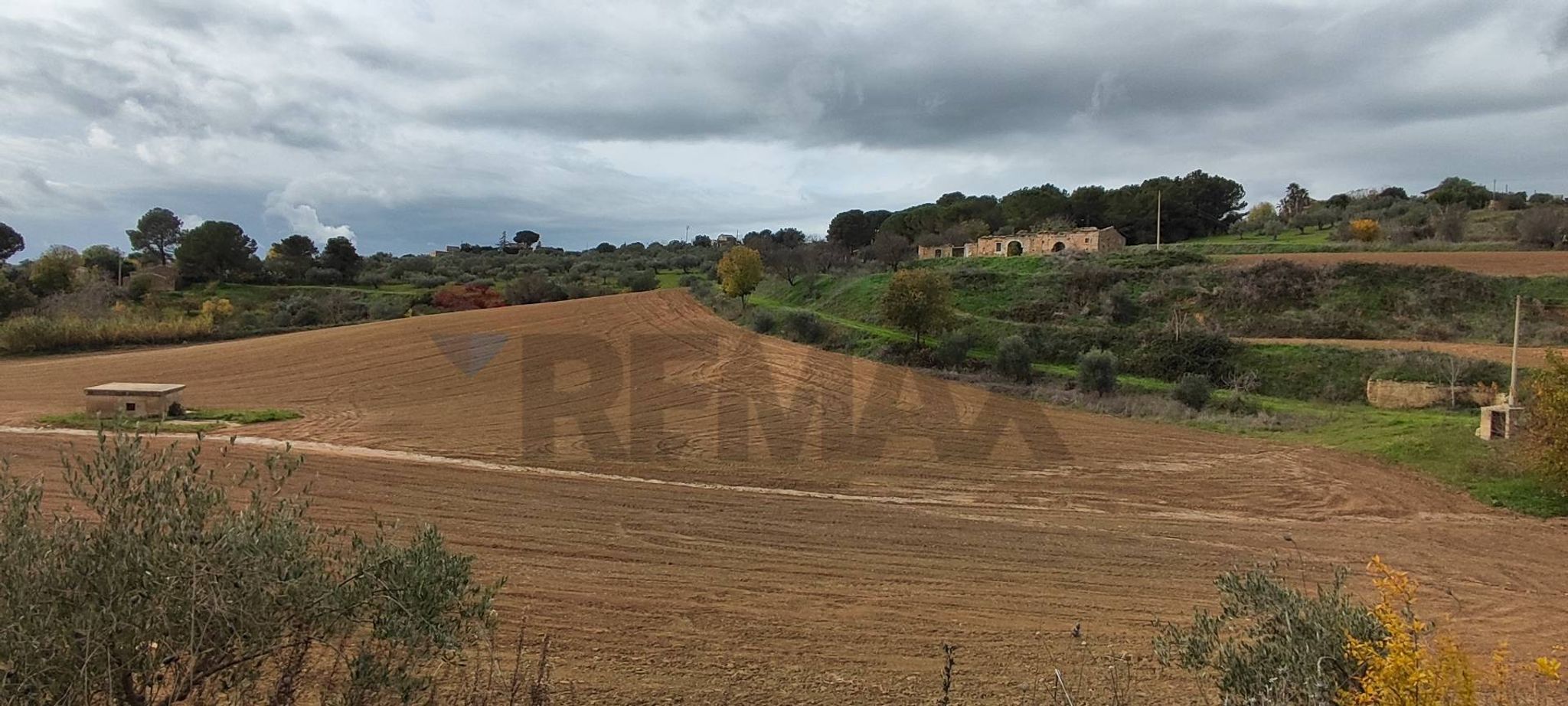 Vista delle montagne