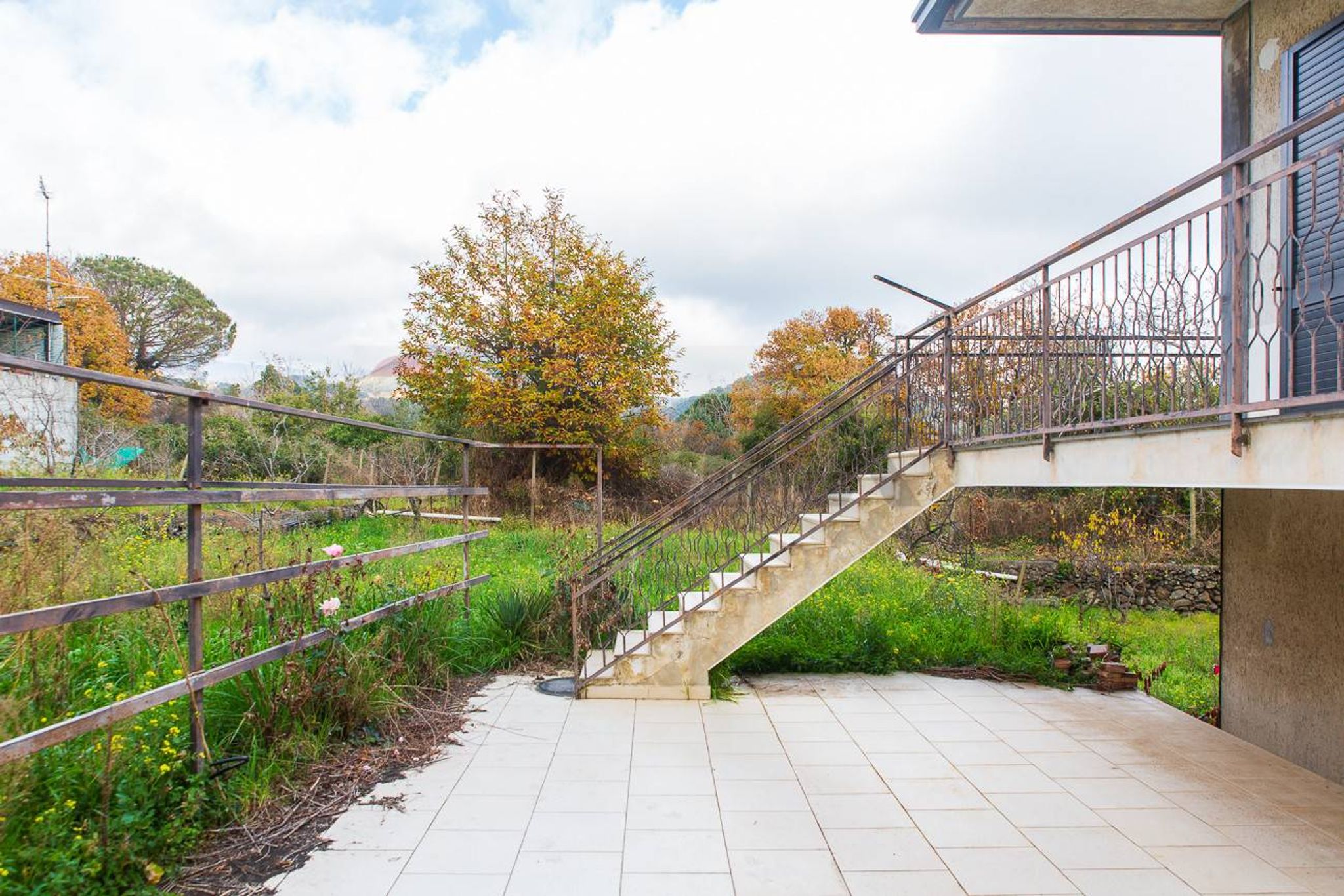 Giardino