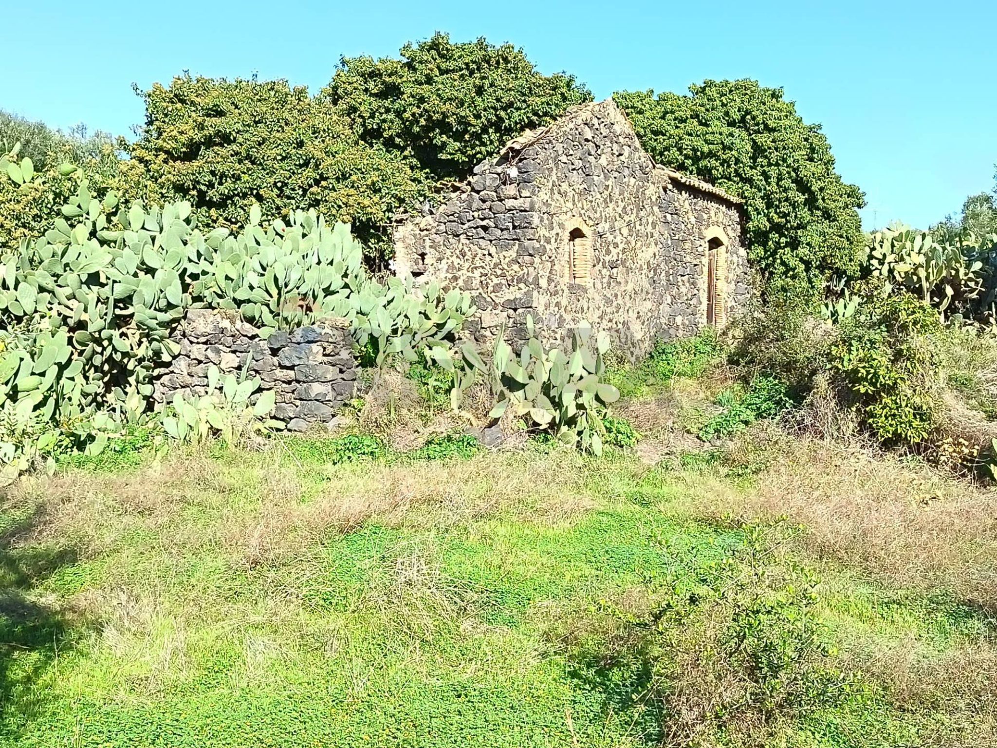 Giardino
