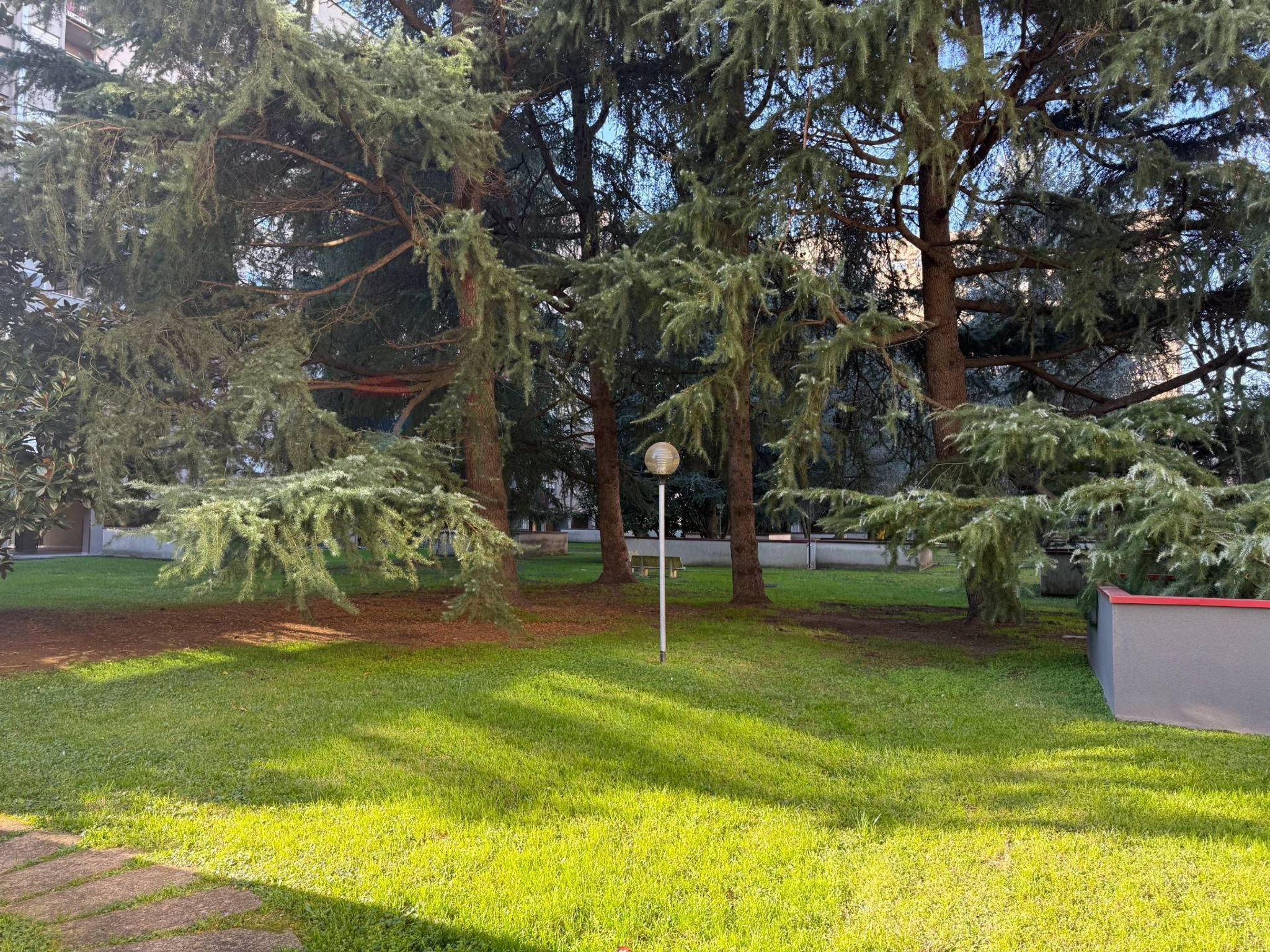 Giardino