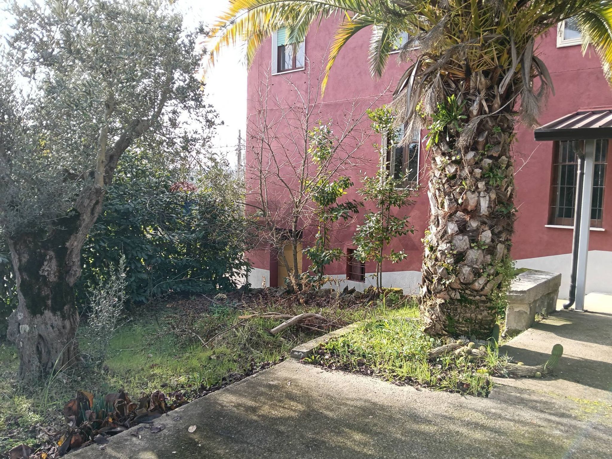 Giardino