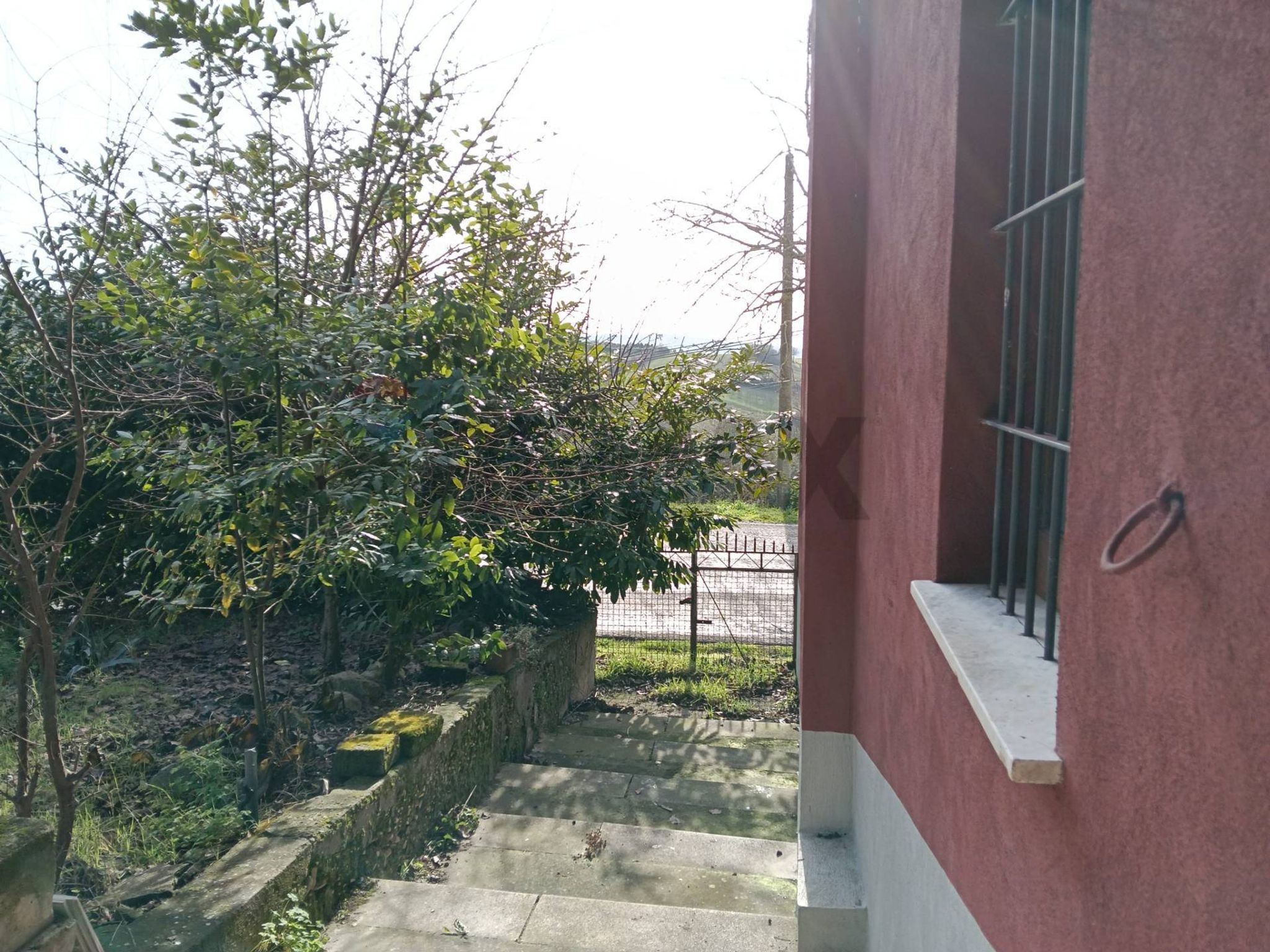 Terrazza