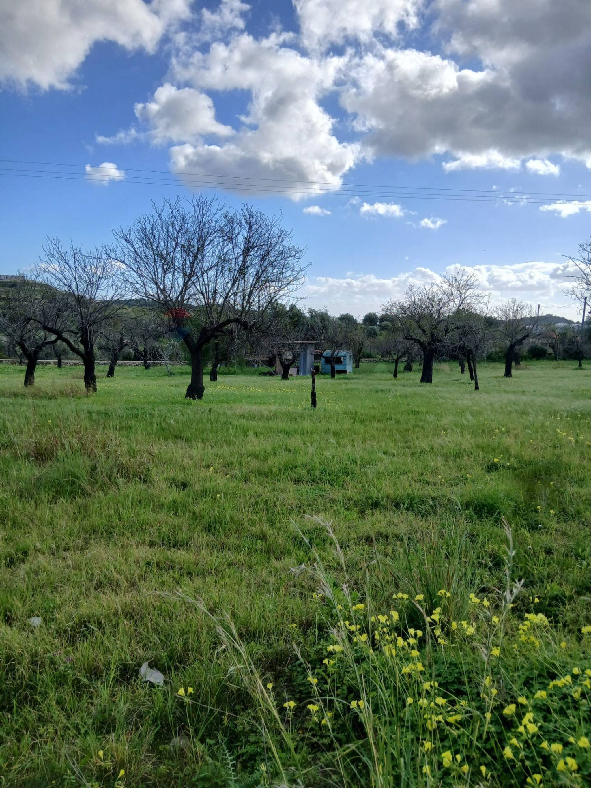 Property in Avola