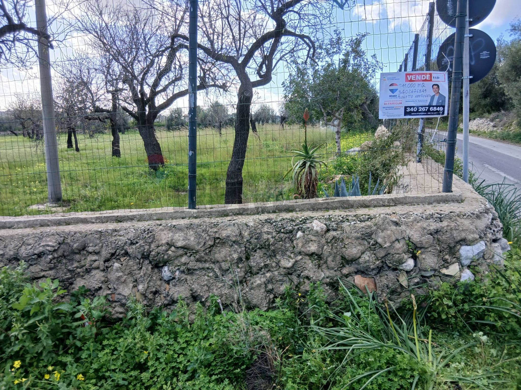 Giardino
