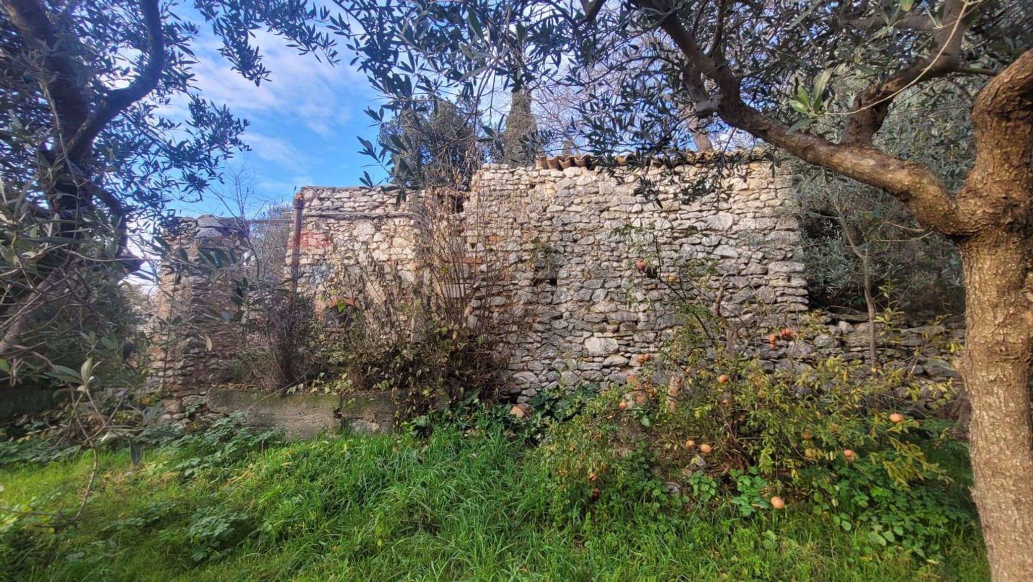 Vista delle montagne