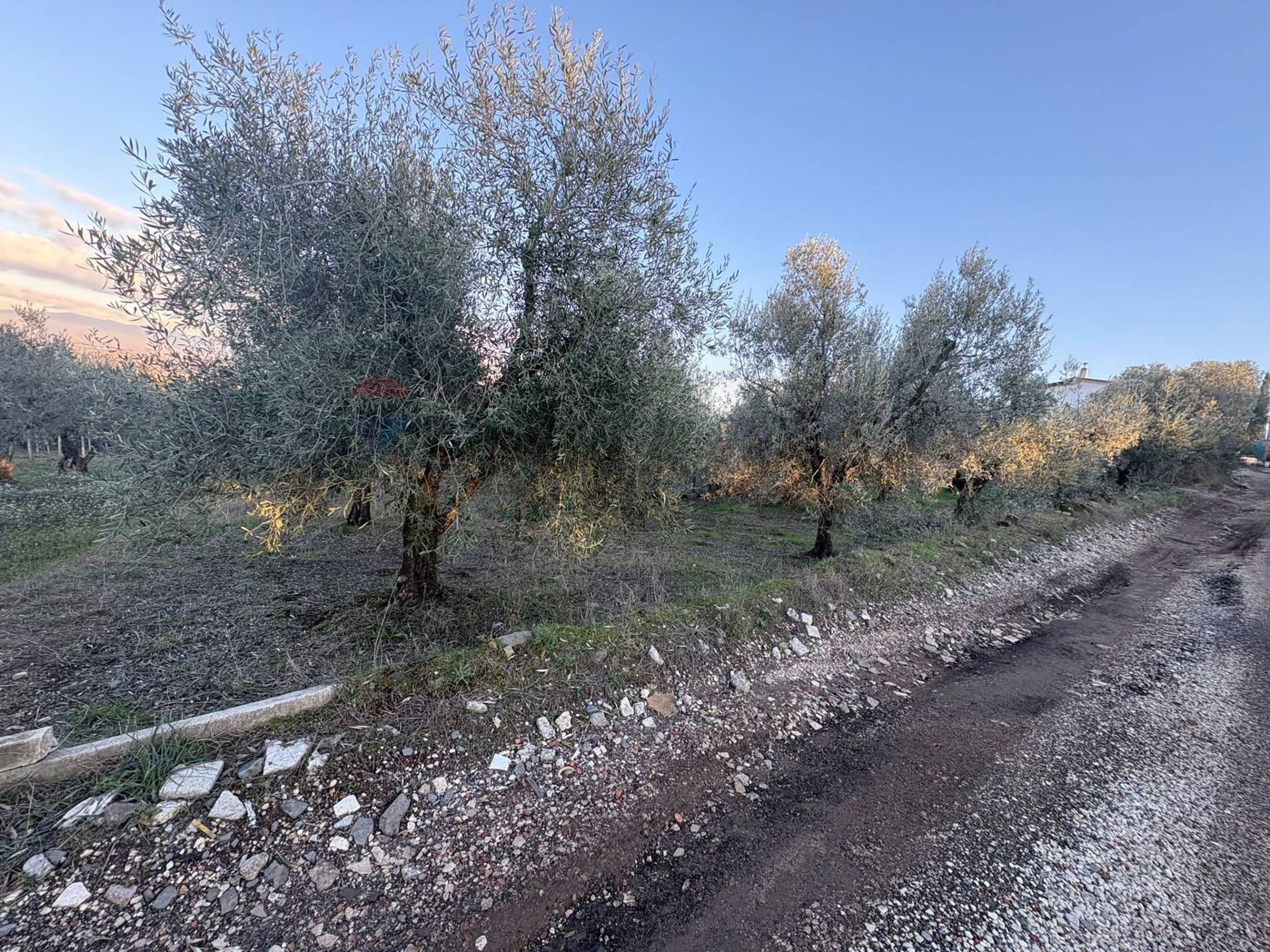 Vista dell'acqua