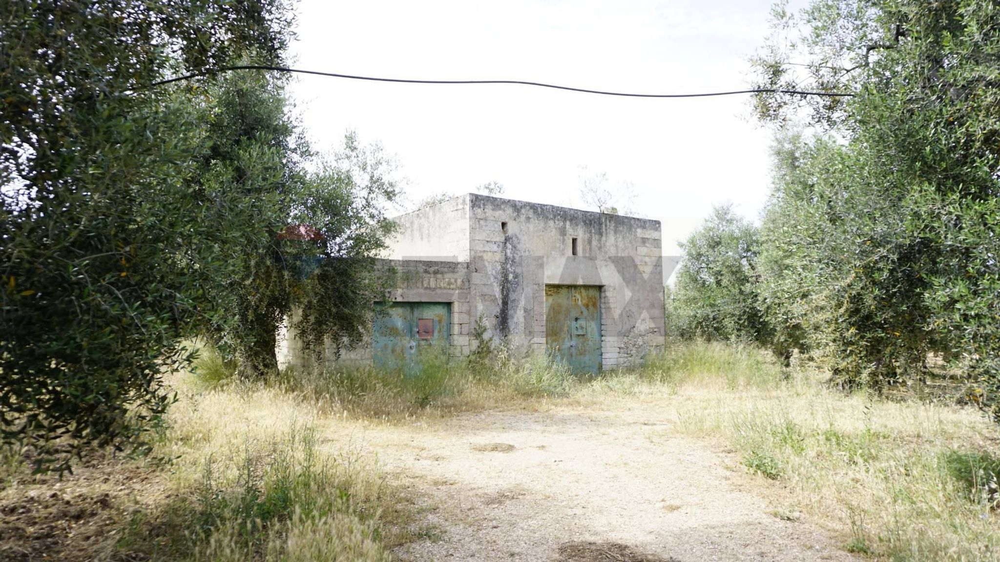 rustico