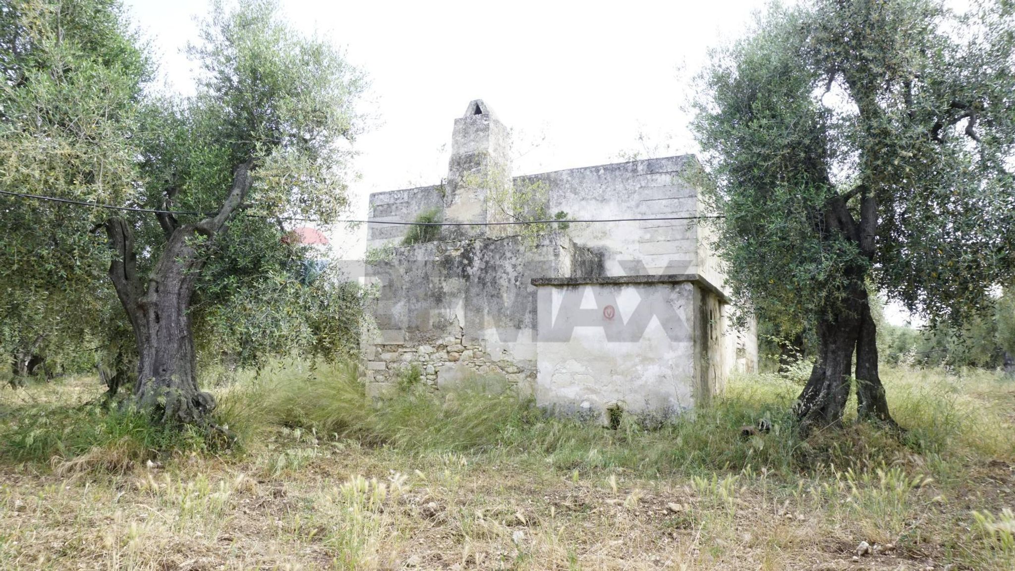 rustico
