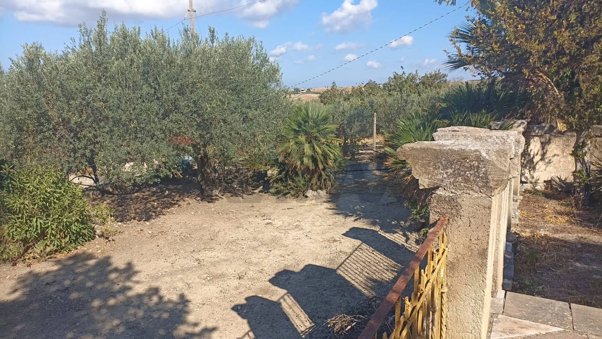 Giardino