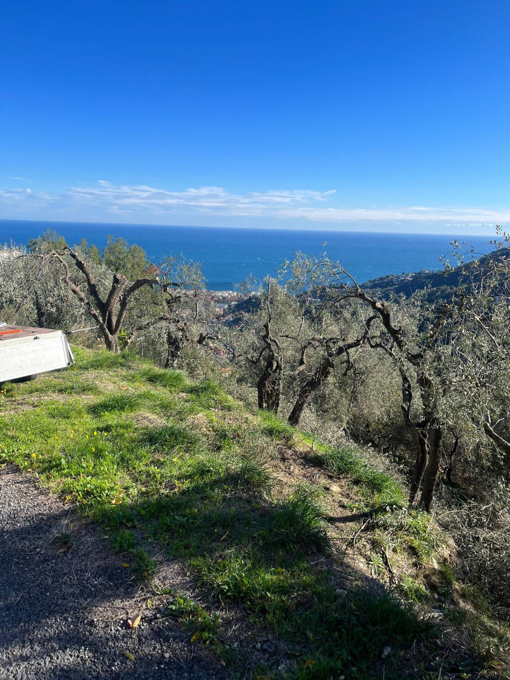 Vista delle montagne