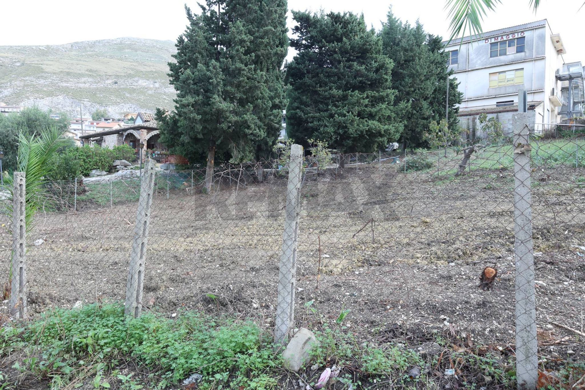 Giardino