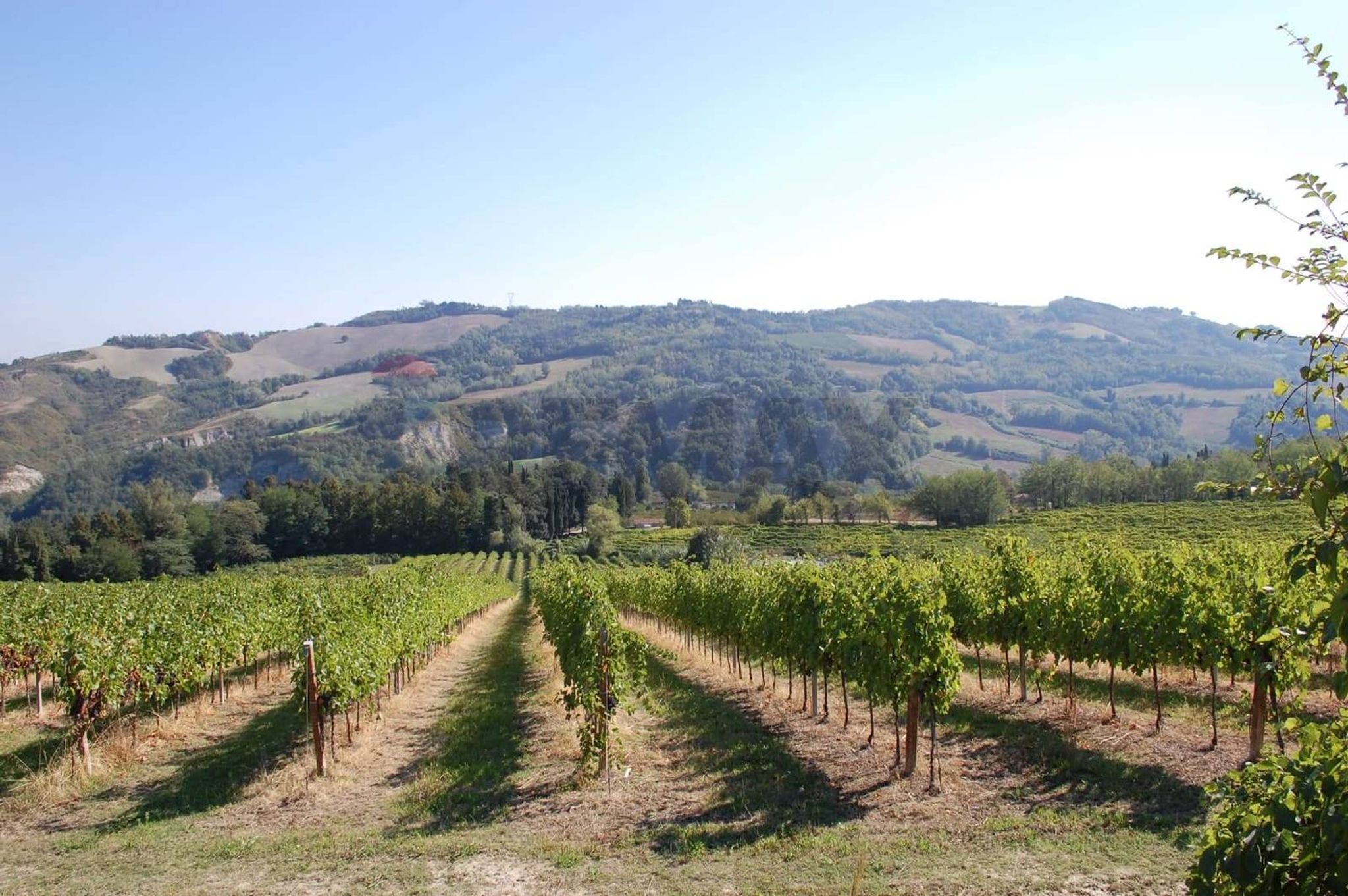 Vista delle montagne