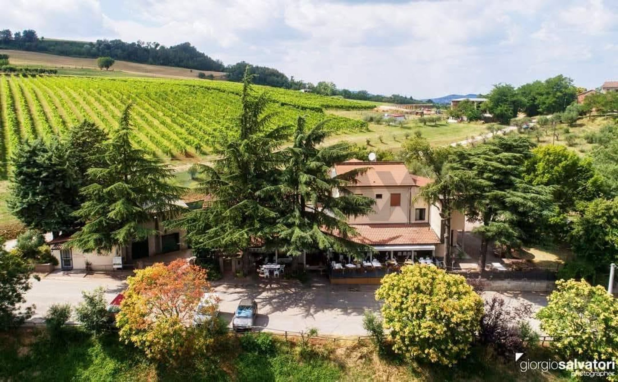 Giardino