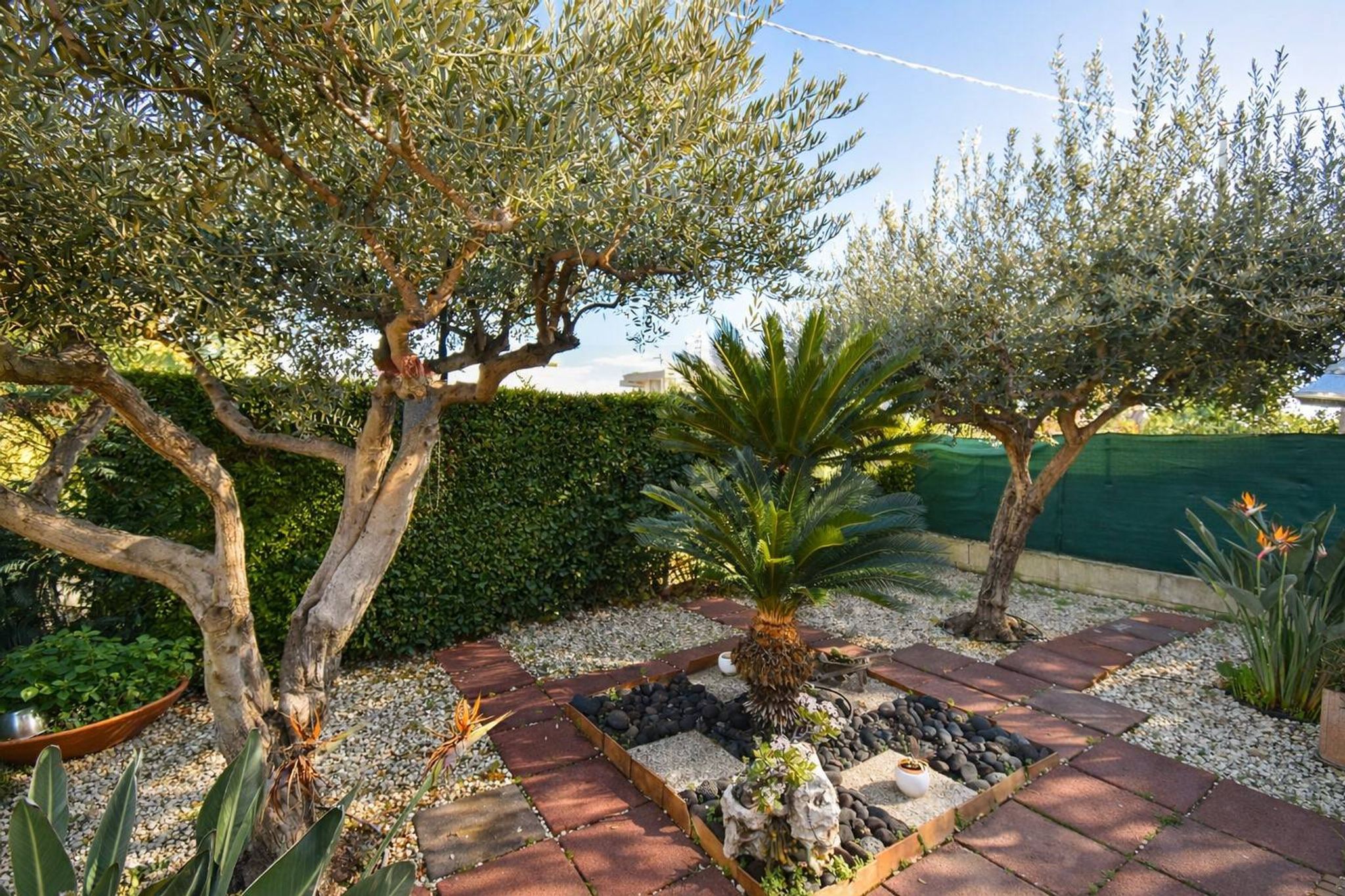 Giardino