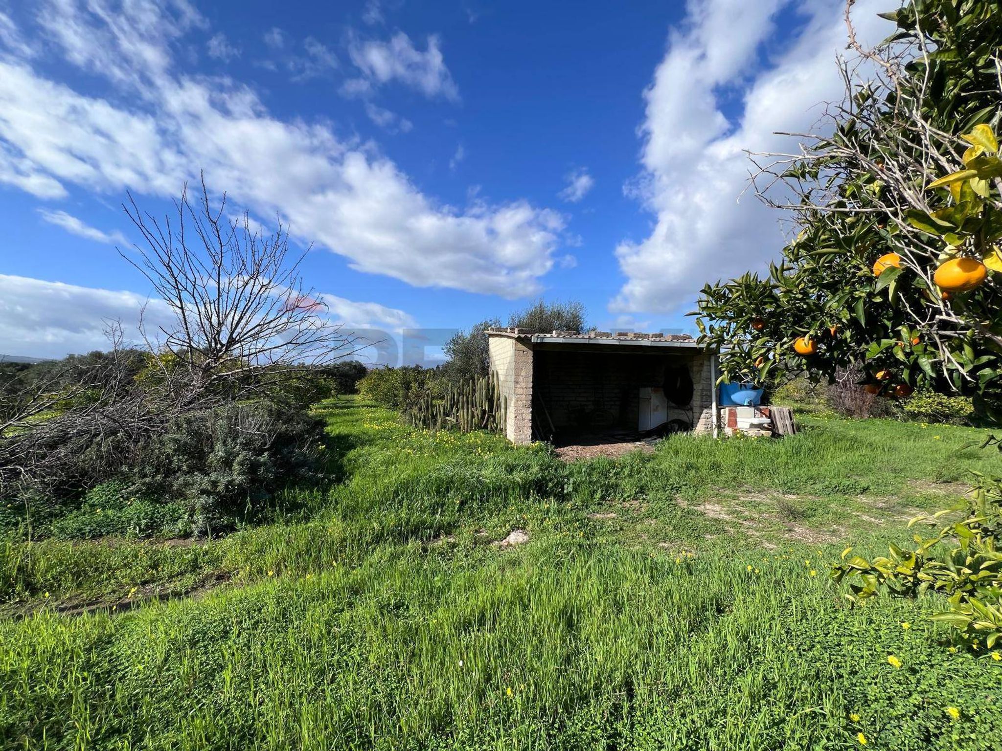 Giardino