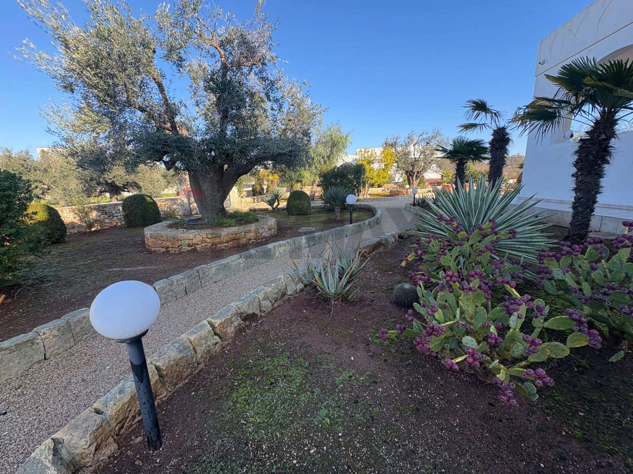 Giardino