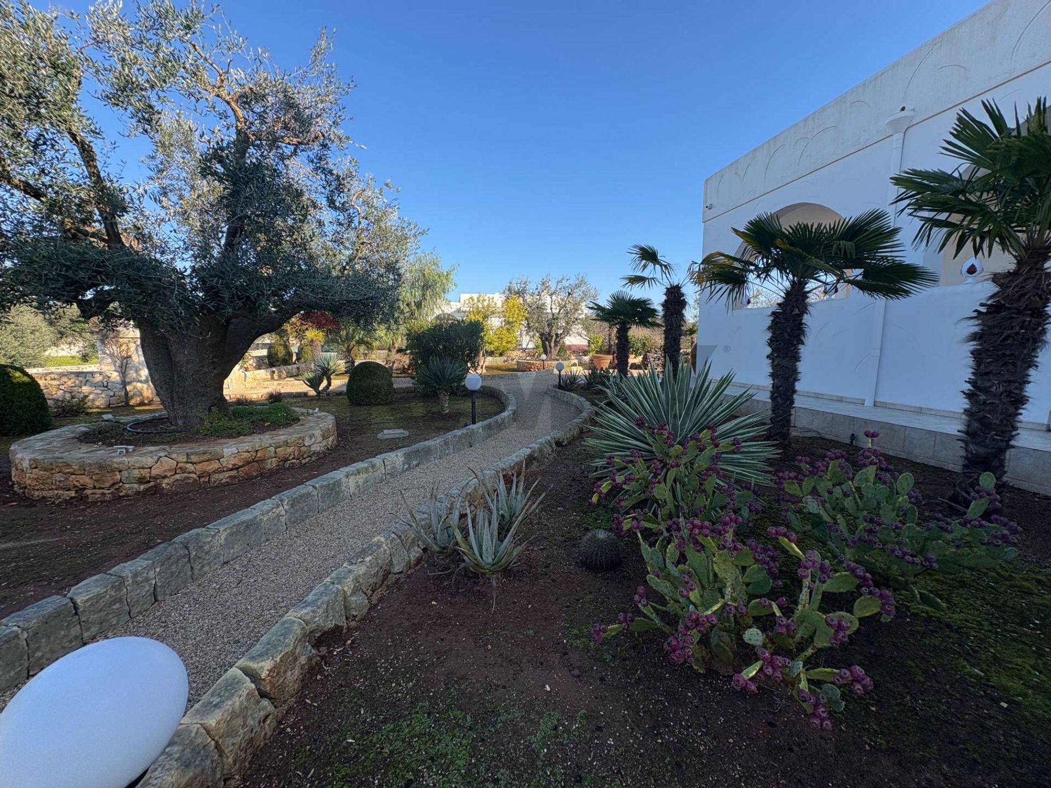 Giardino