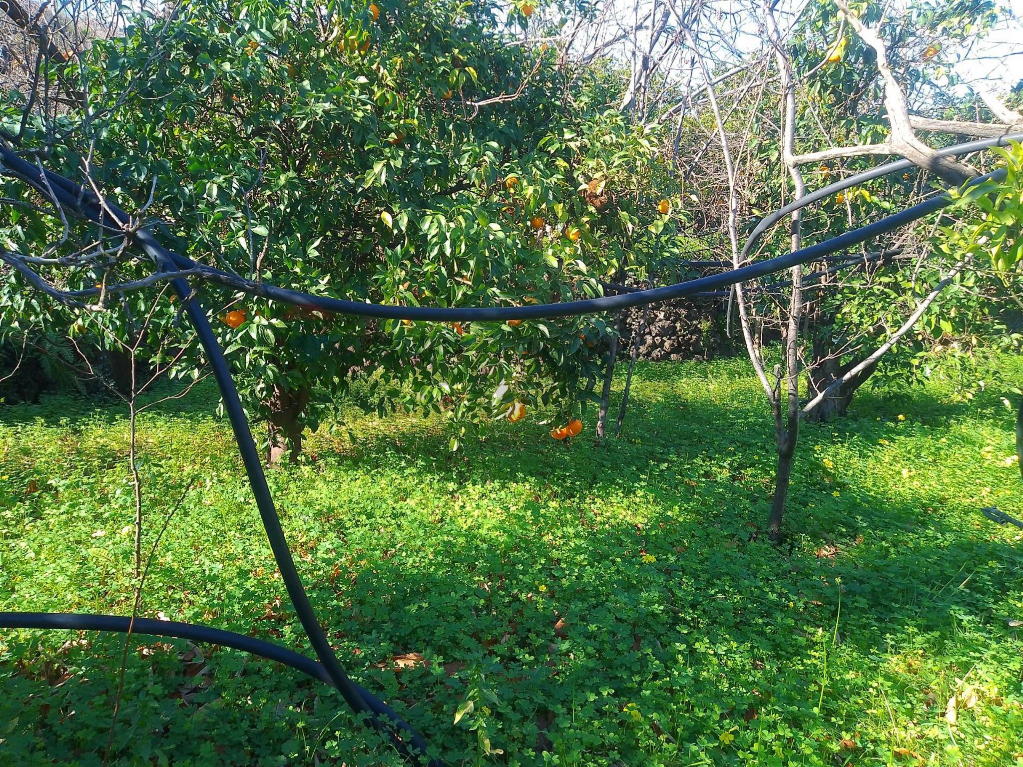 Immobile a Giarre