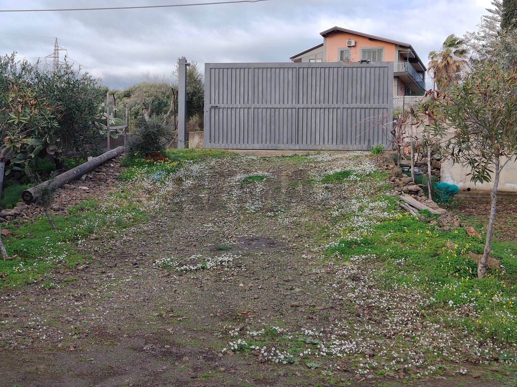 Giardino