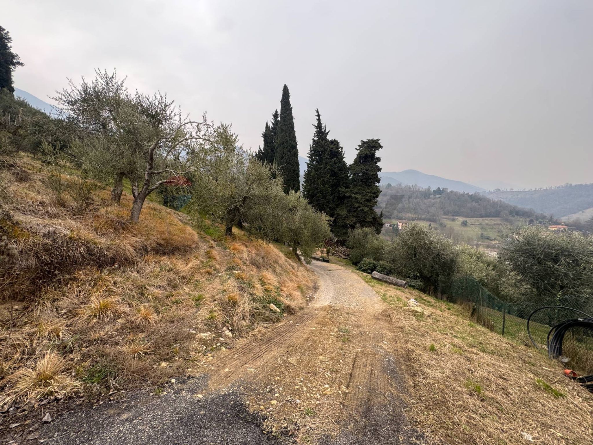 Vista delle montagne