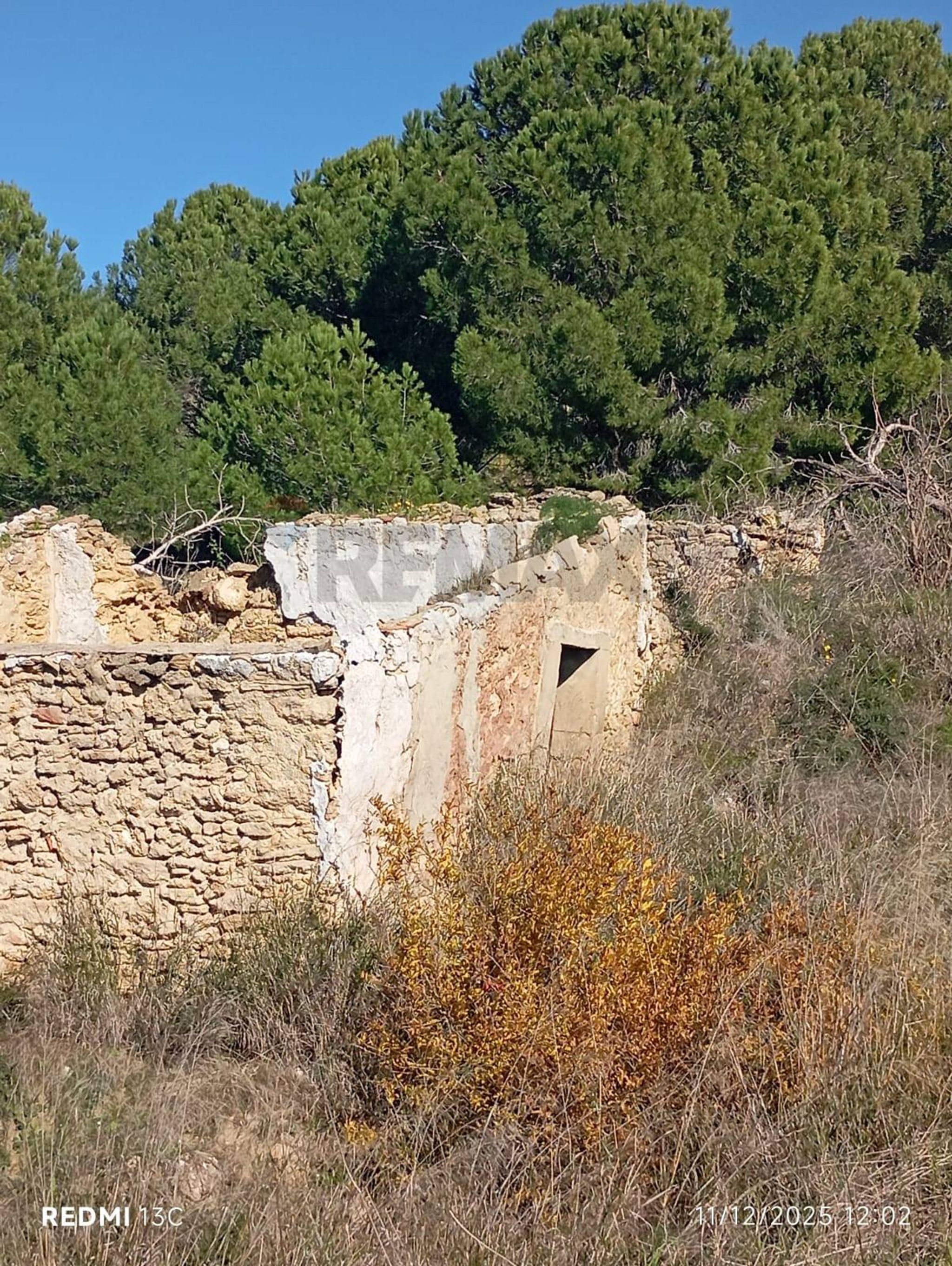 Vista delle montagne