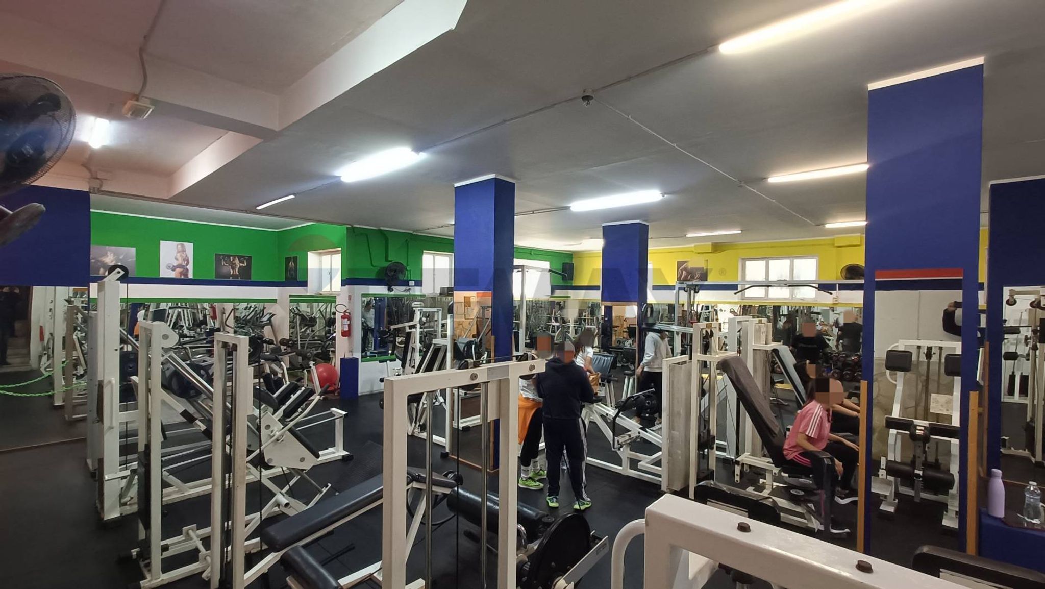 Palestra
