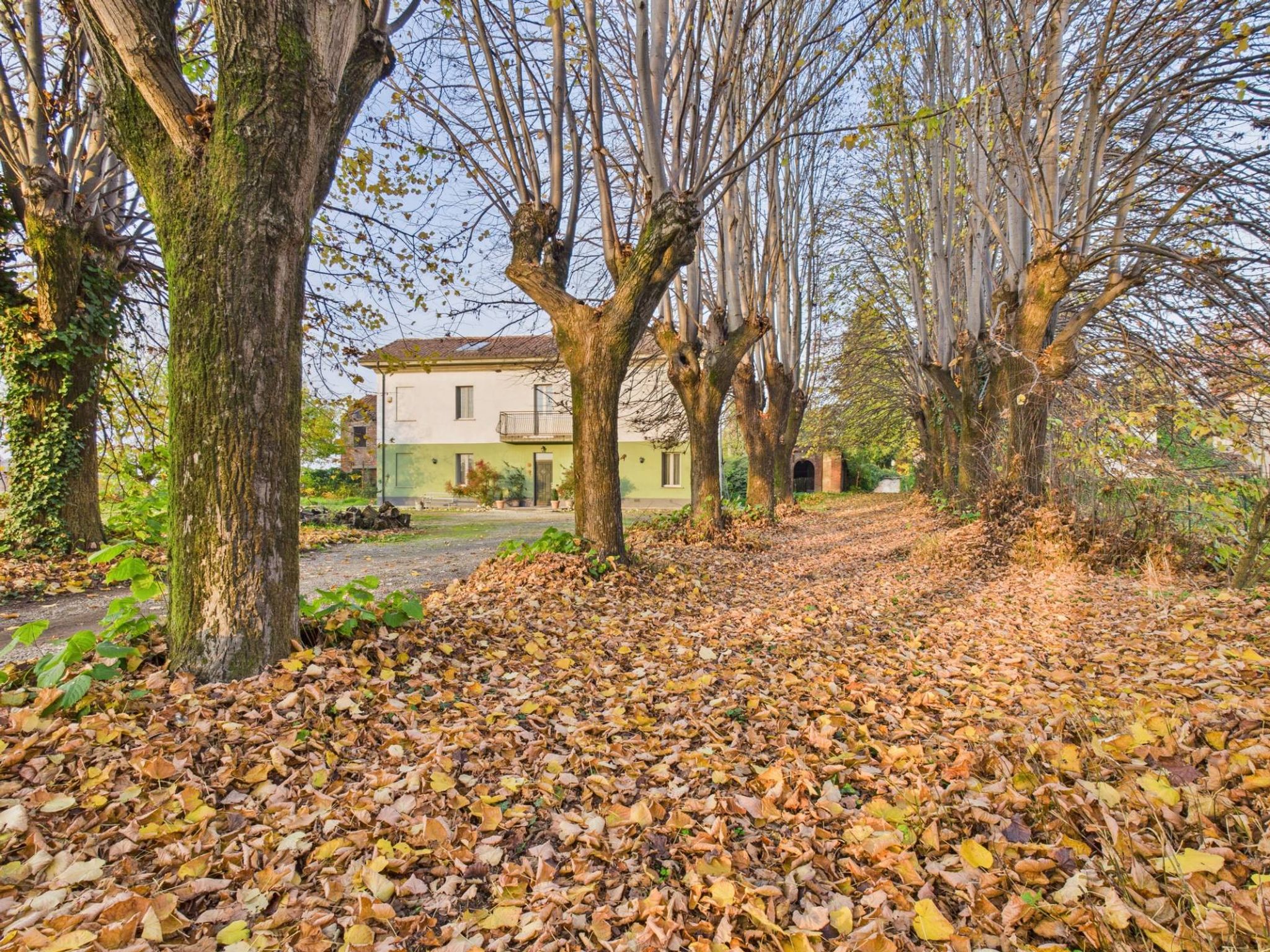 Giardino