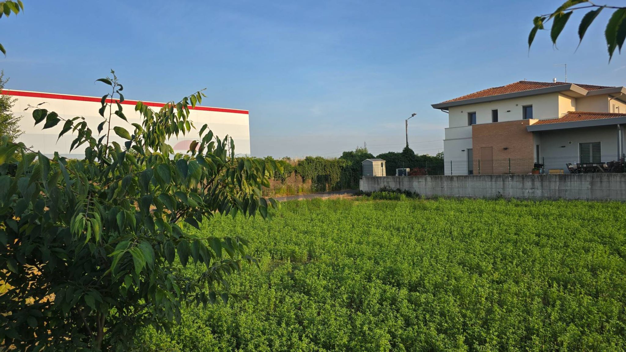 Giardino