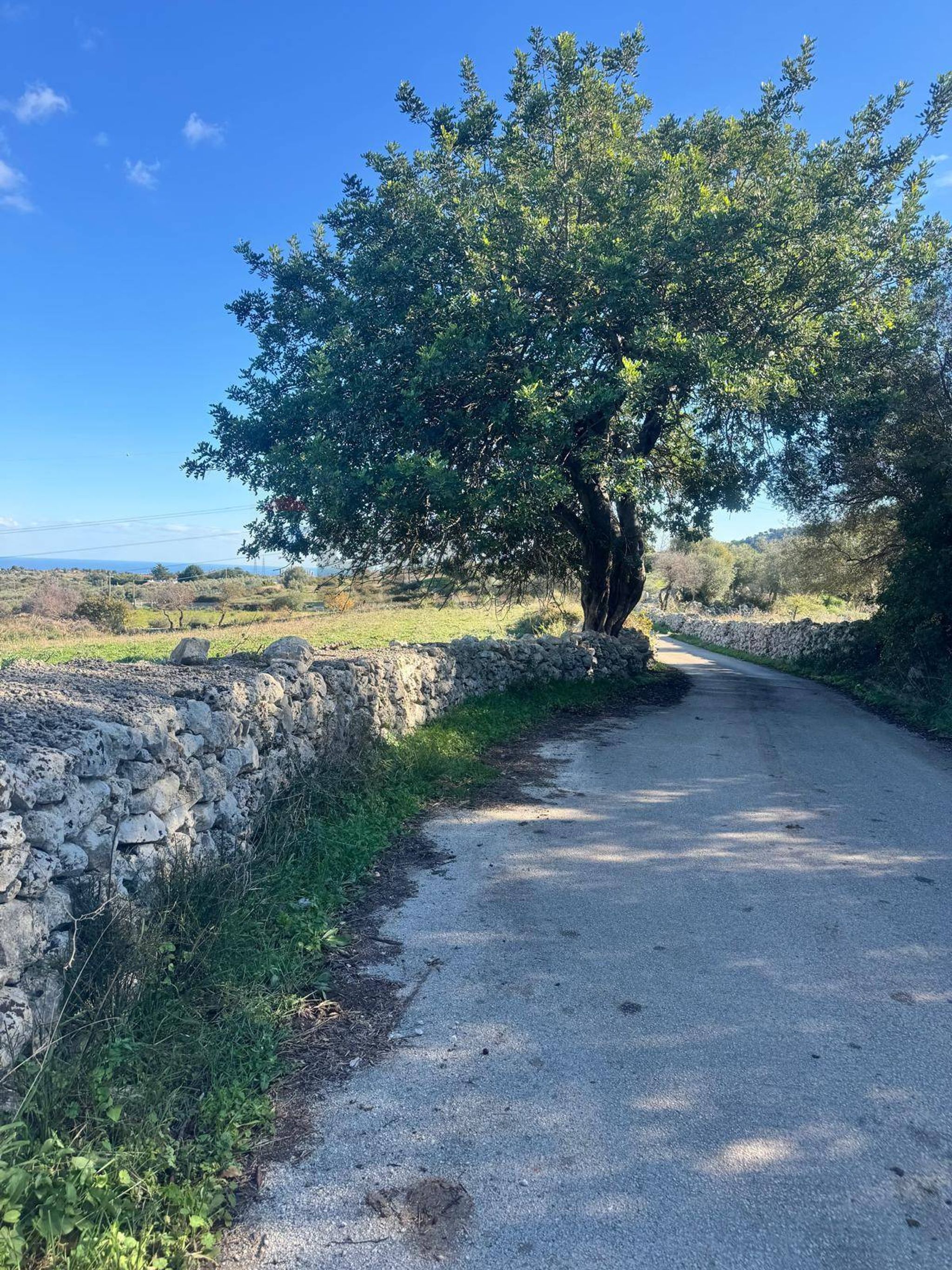 Strada principale