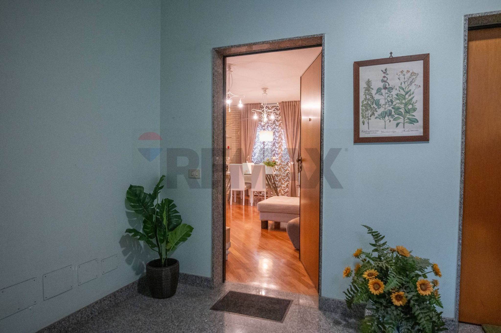 Hall / corridoio
