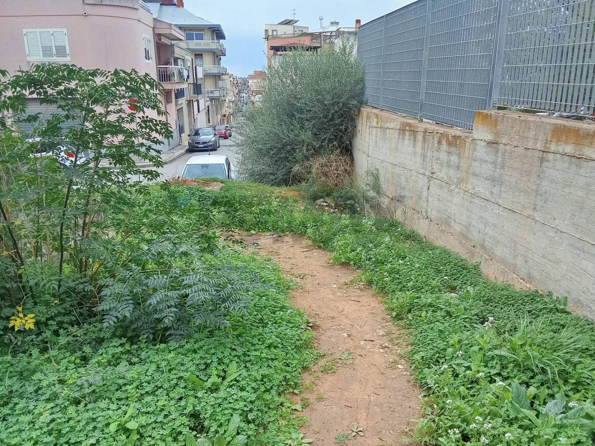 Giardino