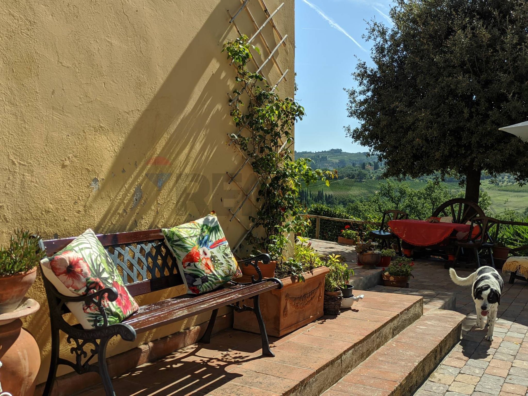 Terrazza