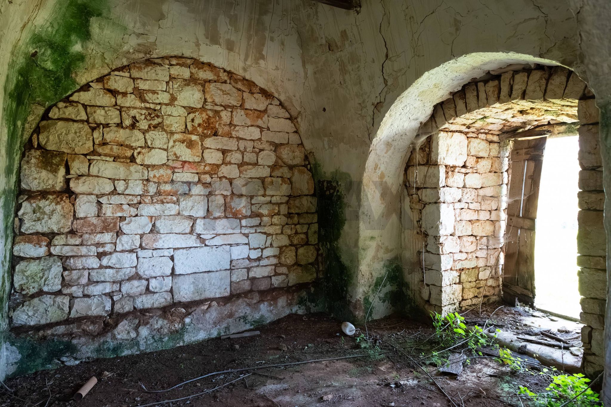 Cantina