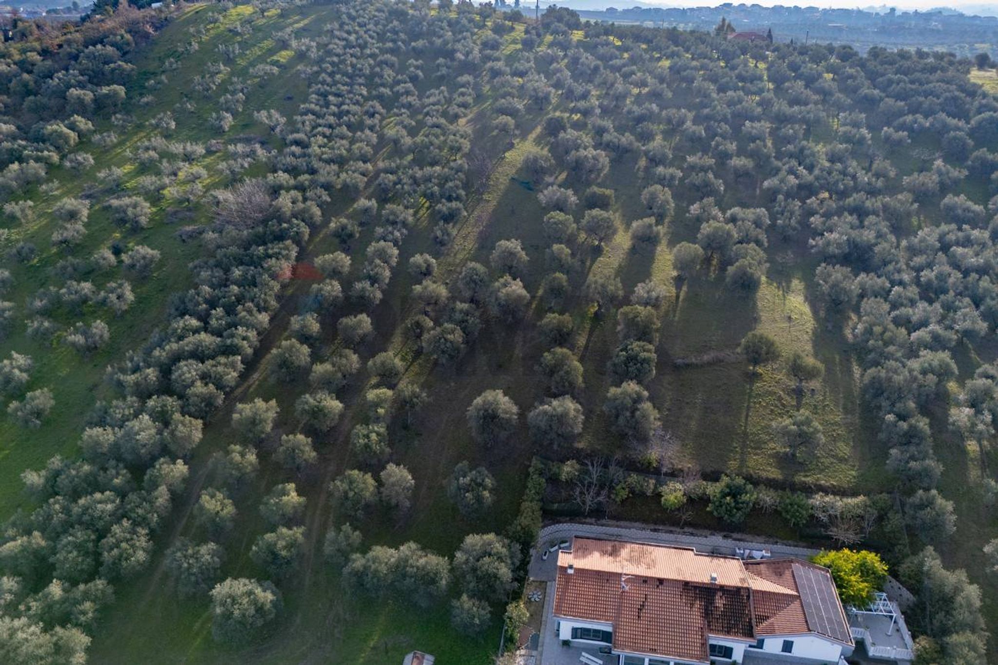 Vista delle montagne