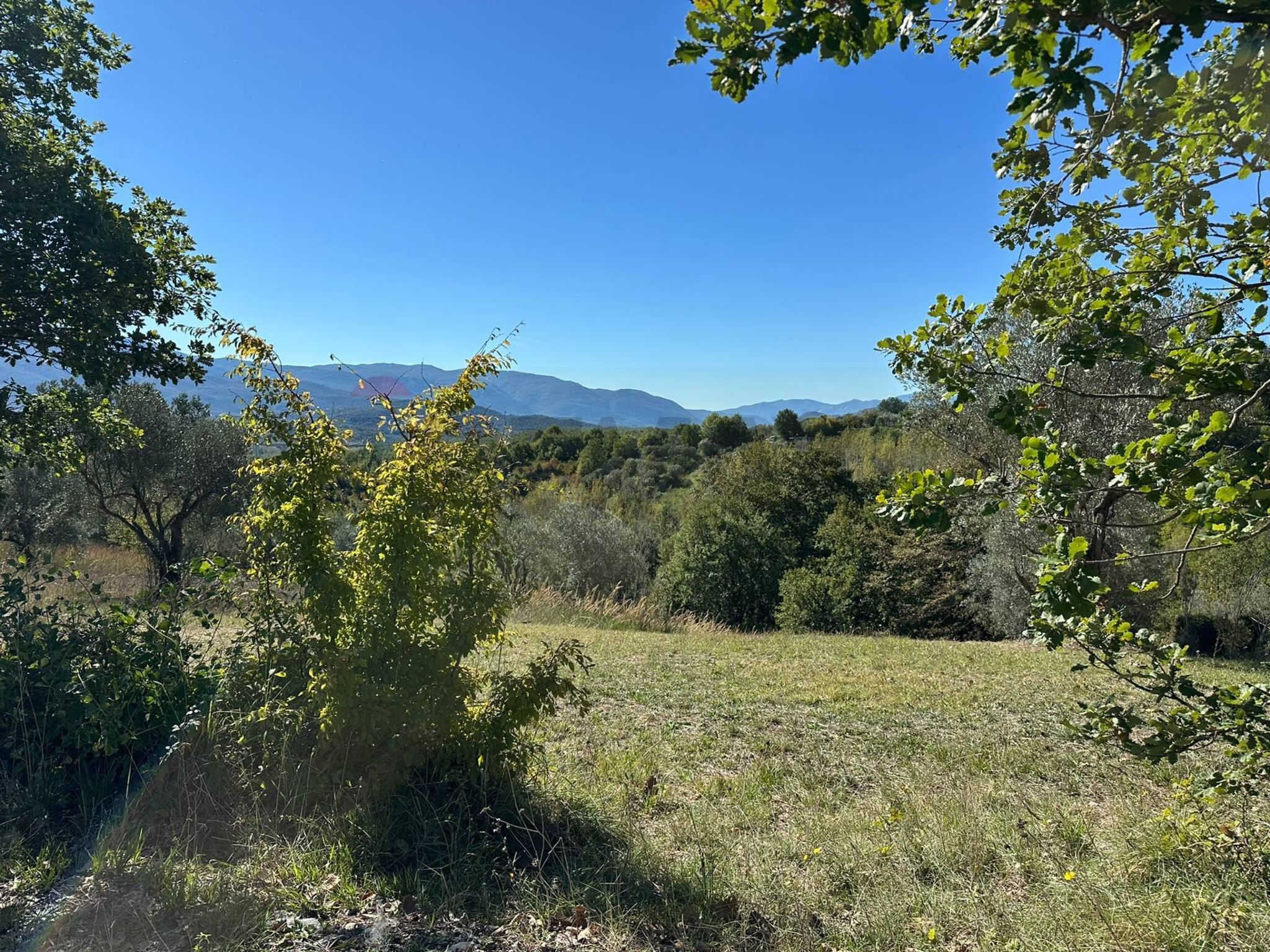 Vista delle montagne