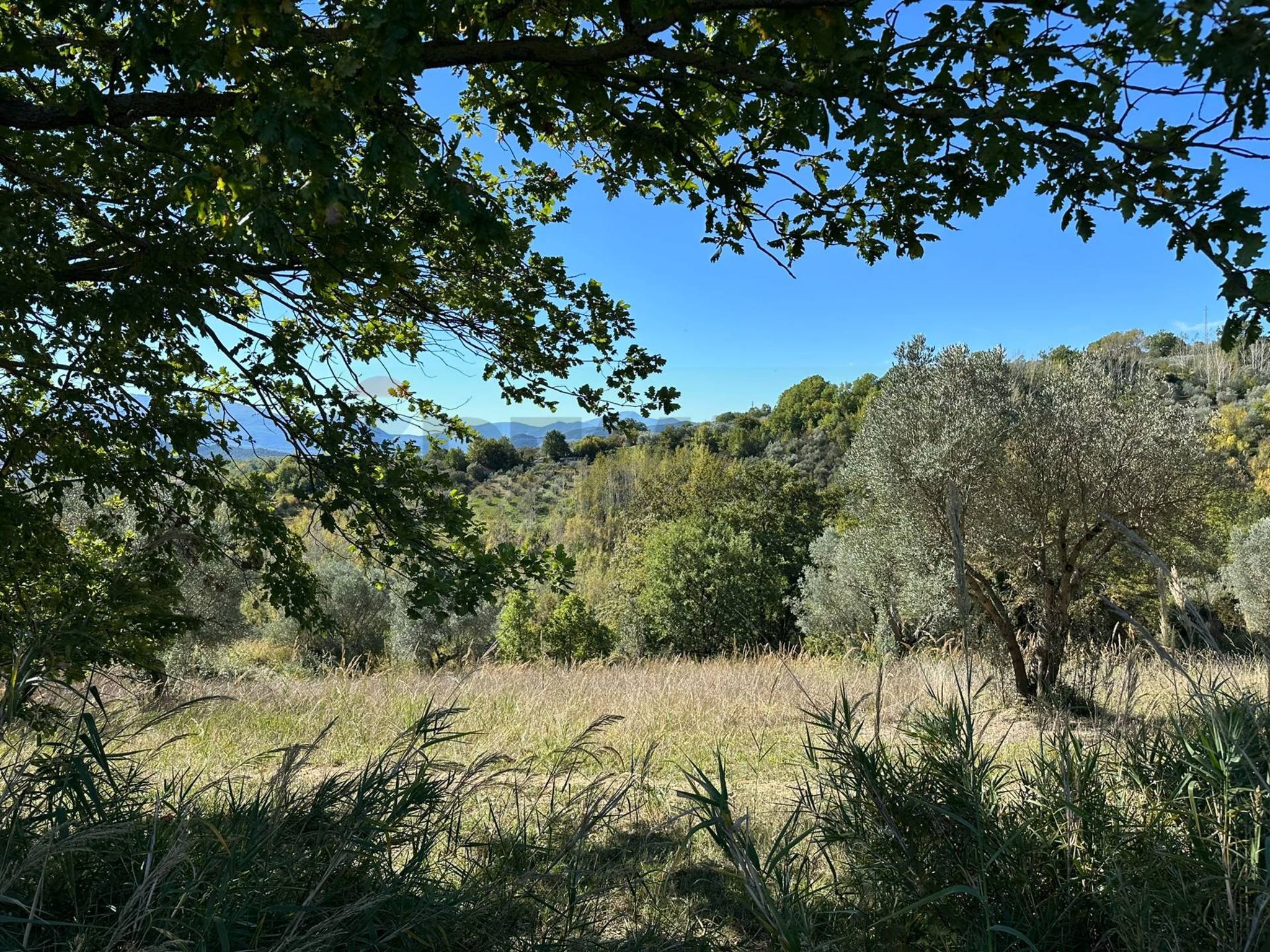 Vista delle montagne