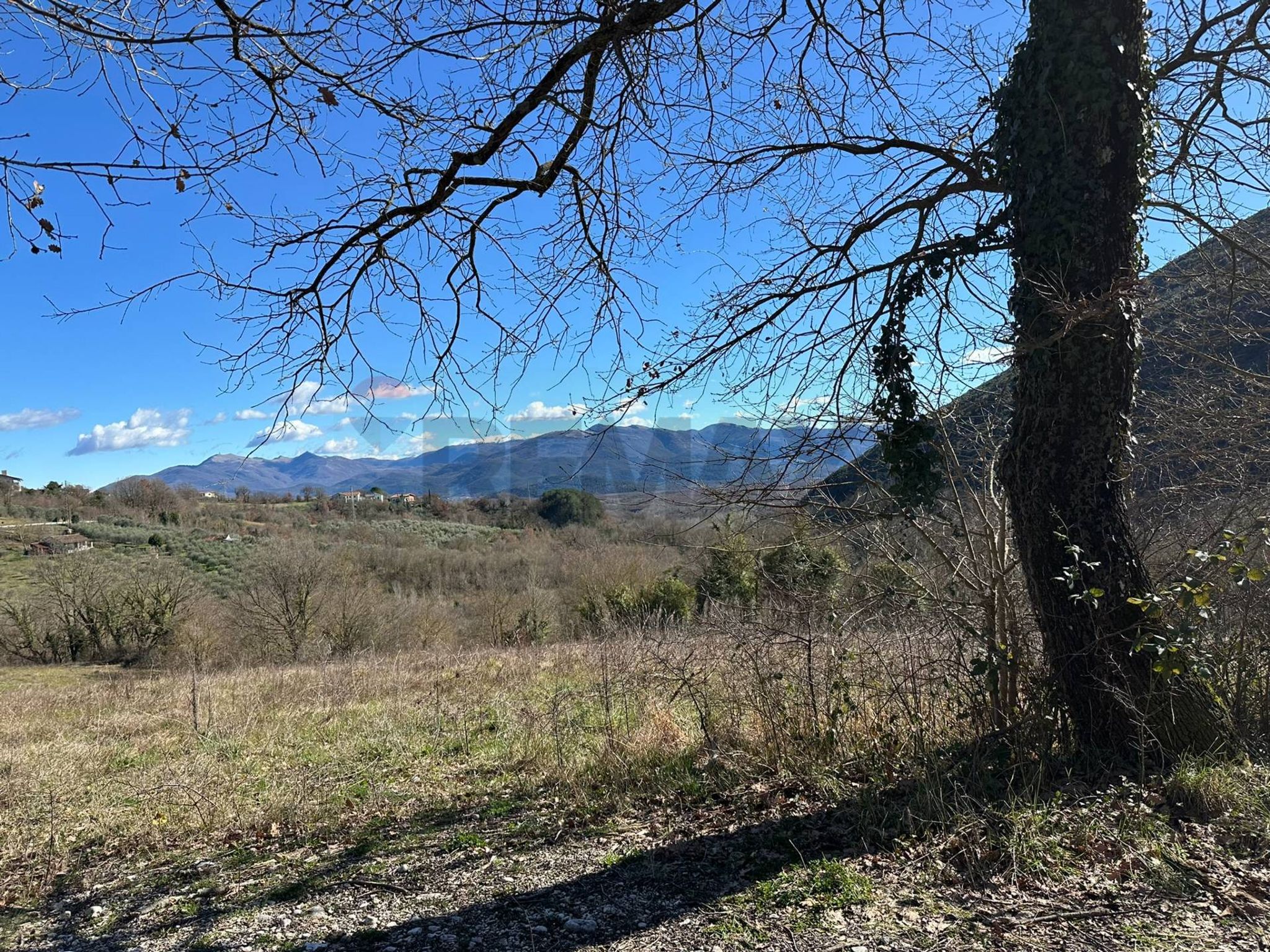 Vista delle montagne