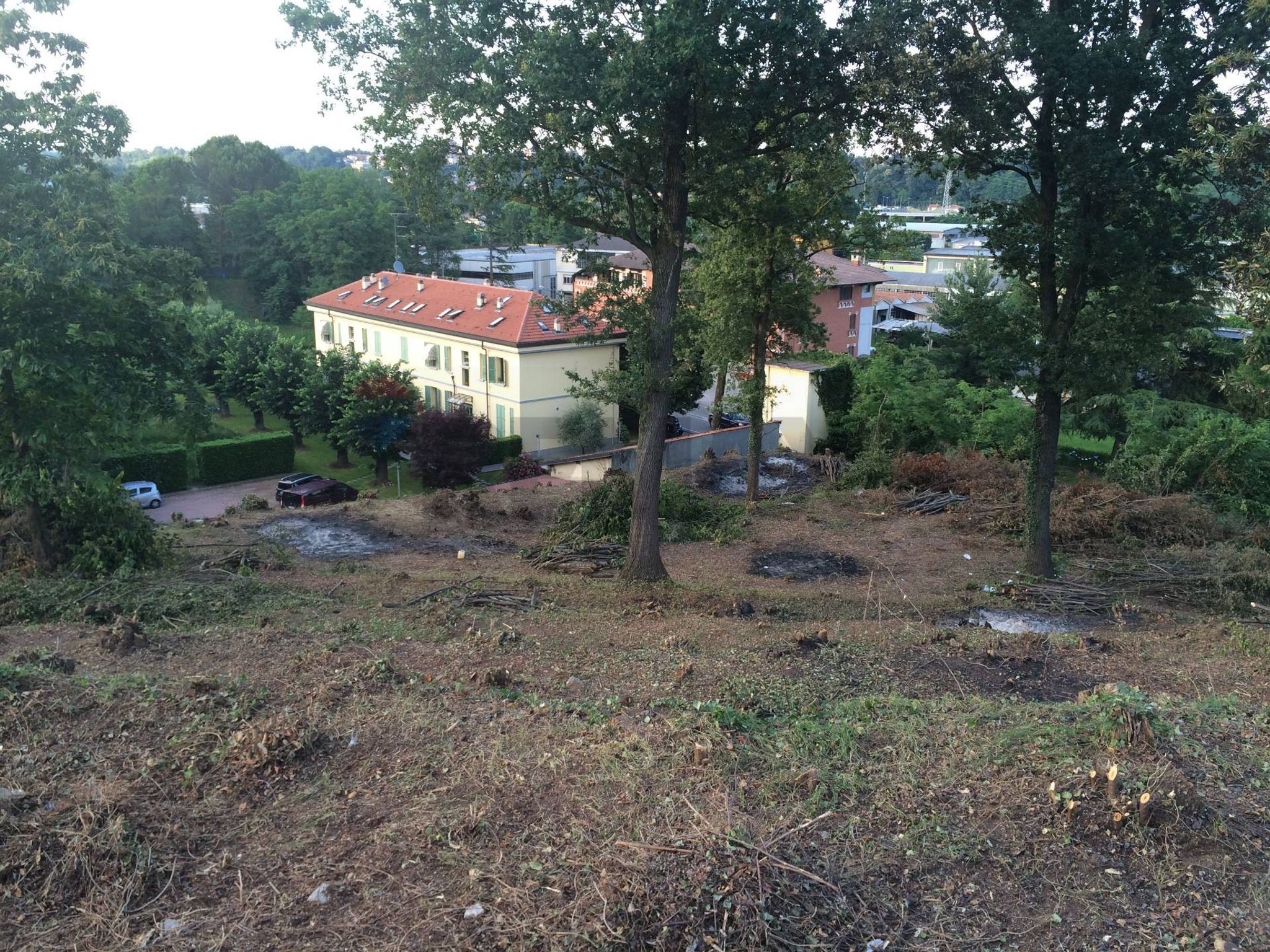 Giardino