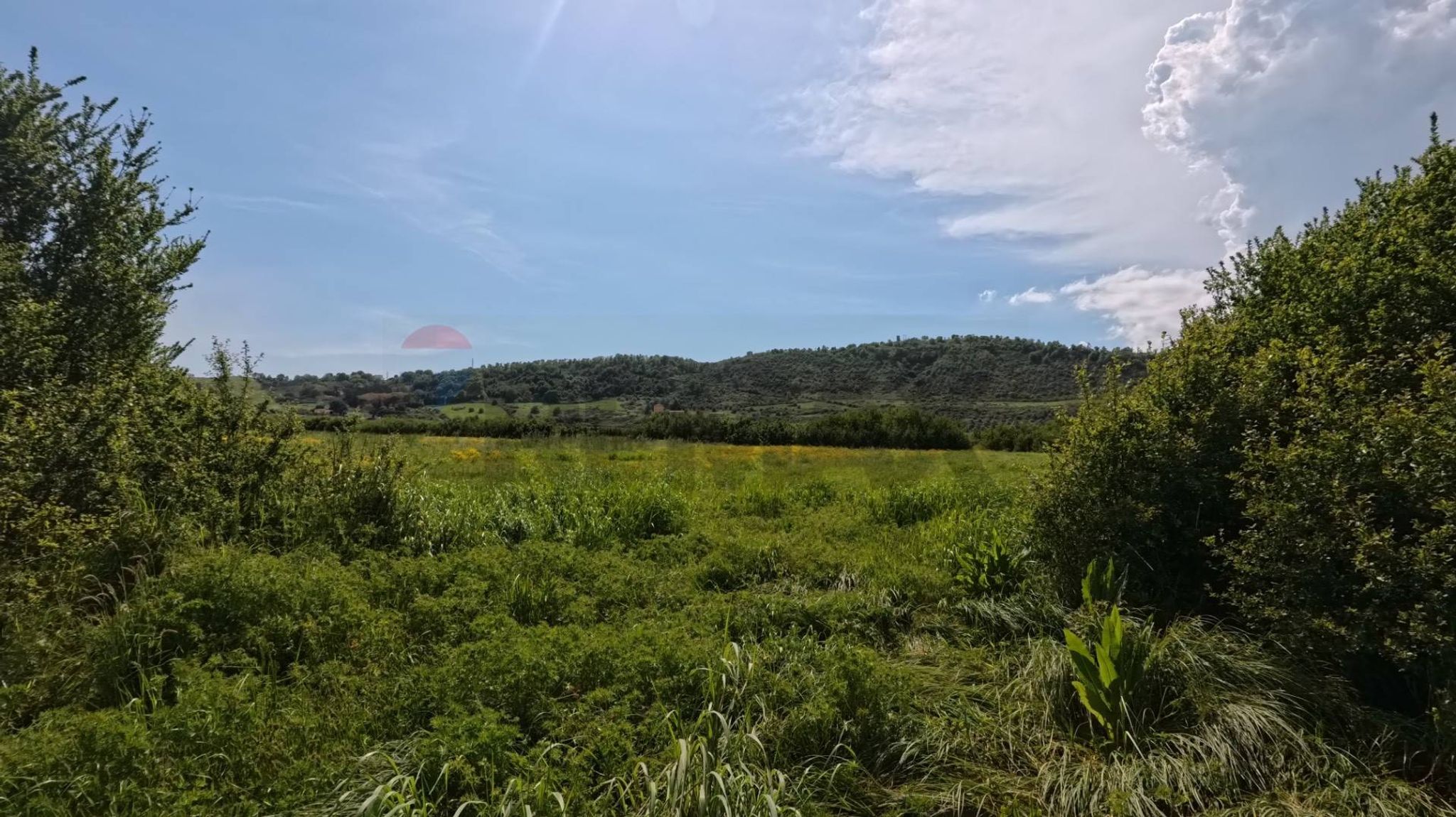 Vista delle montagne