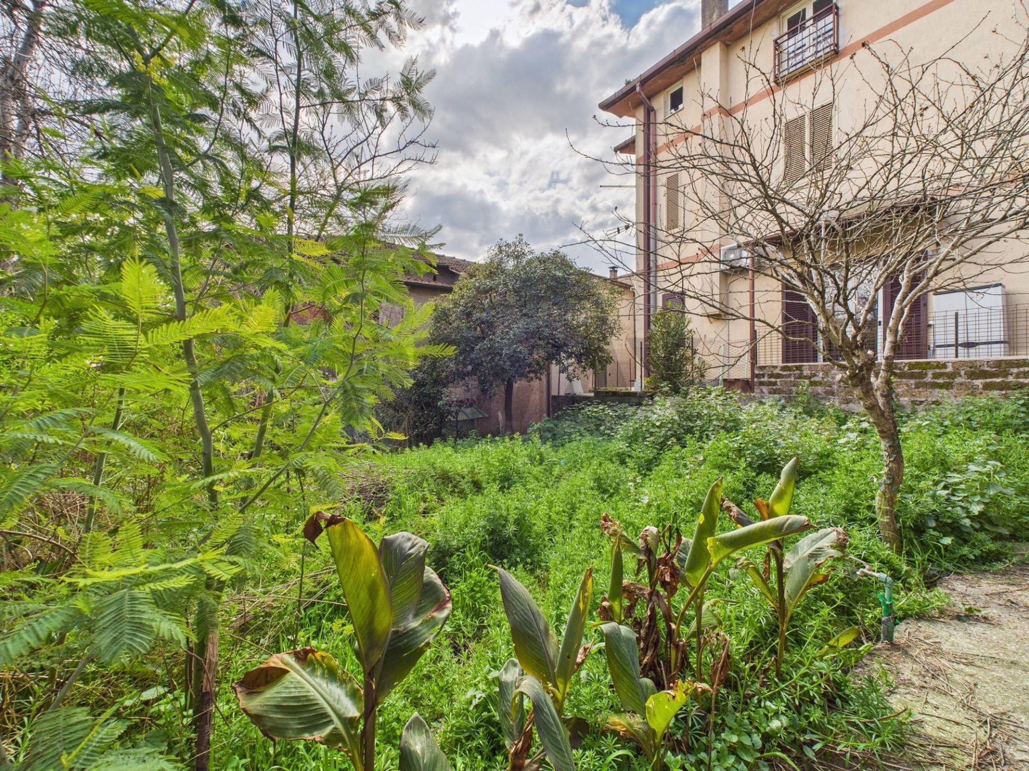 Giardino