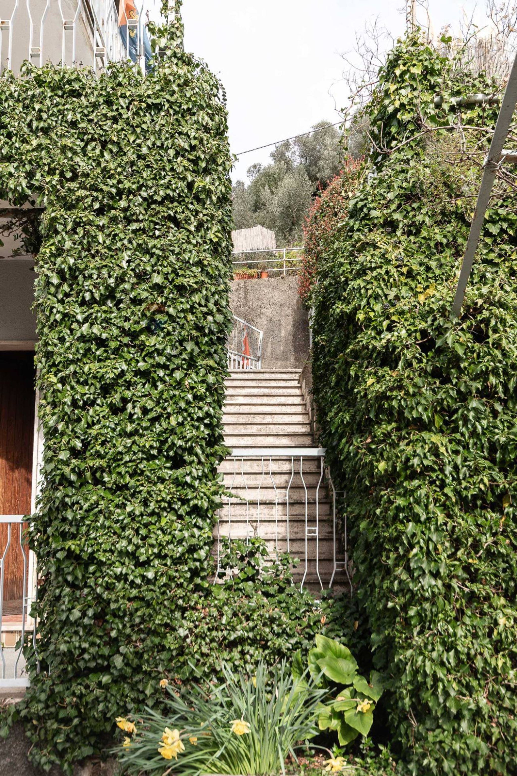 Giardino