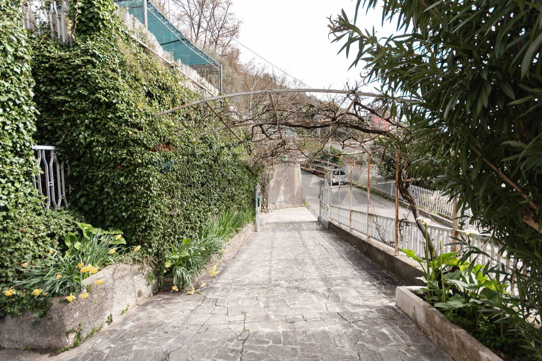 Property in Avegno